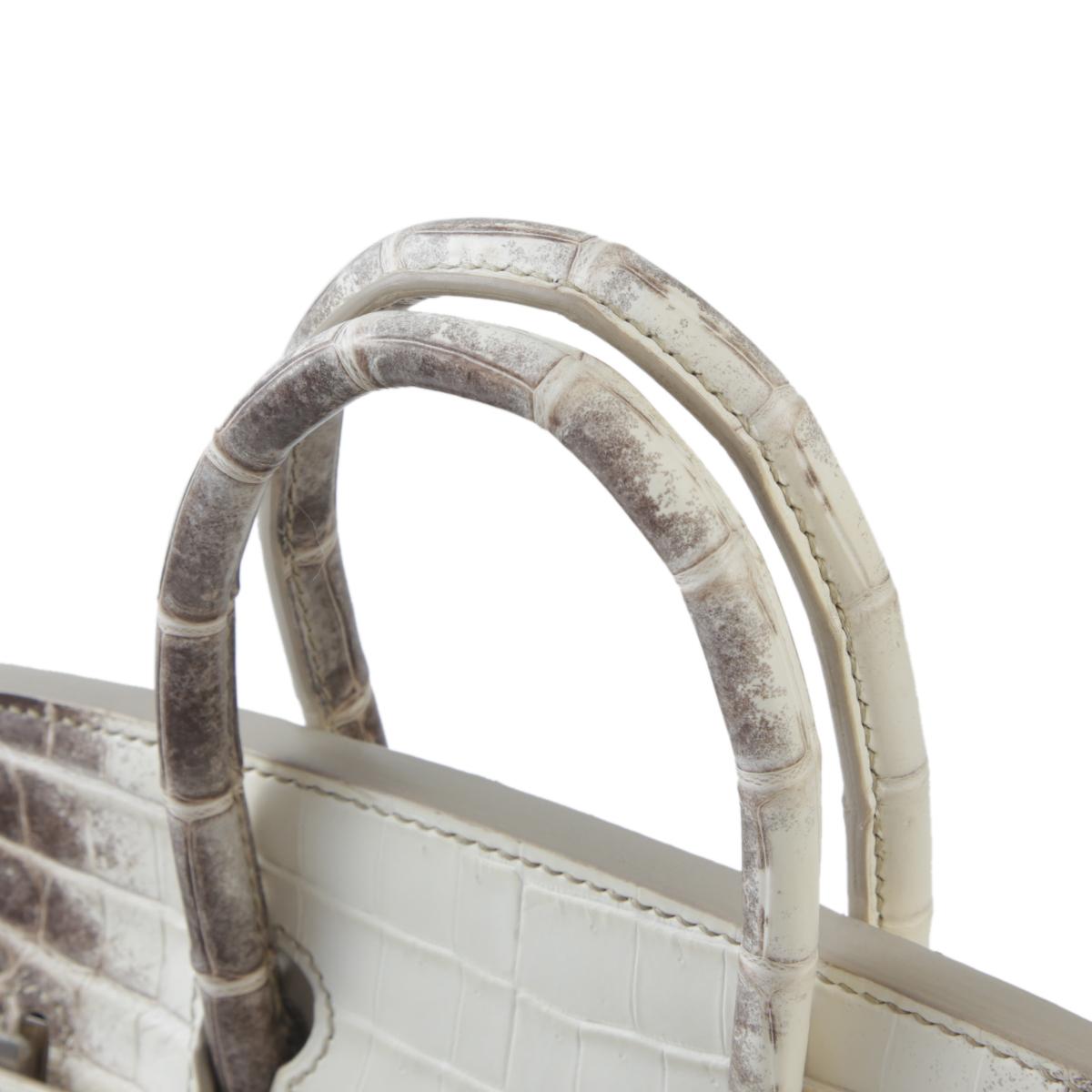 Unused ( Rank NS ) HERMÈS Limited Edition Birkin 25 Himalaya Matte Niloticus Crocodile Palladium hardware X (2016) - 6