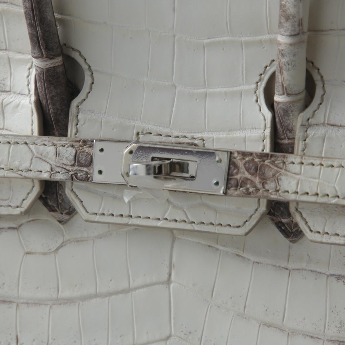 Unused ( Rank NS ) HERMÈS Limited Edition Birkin 25 Himalaya Matte Niloticus Crocodile Palladium hardware X (2016) - 12