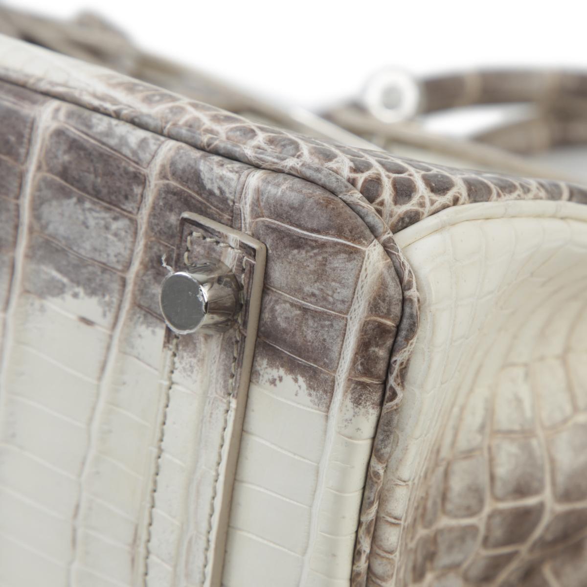 Unused ( Rank NS ) HERMÈS Limited Edition Birkin 25 Himalaya Matte Niloticus Crocodile Palladium hardware X (2016) - 9