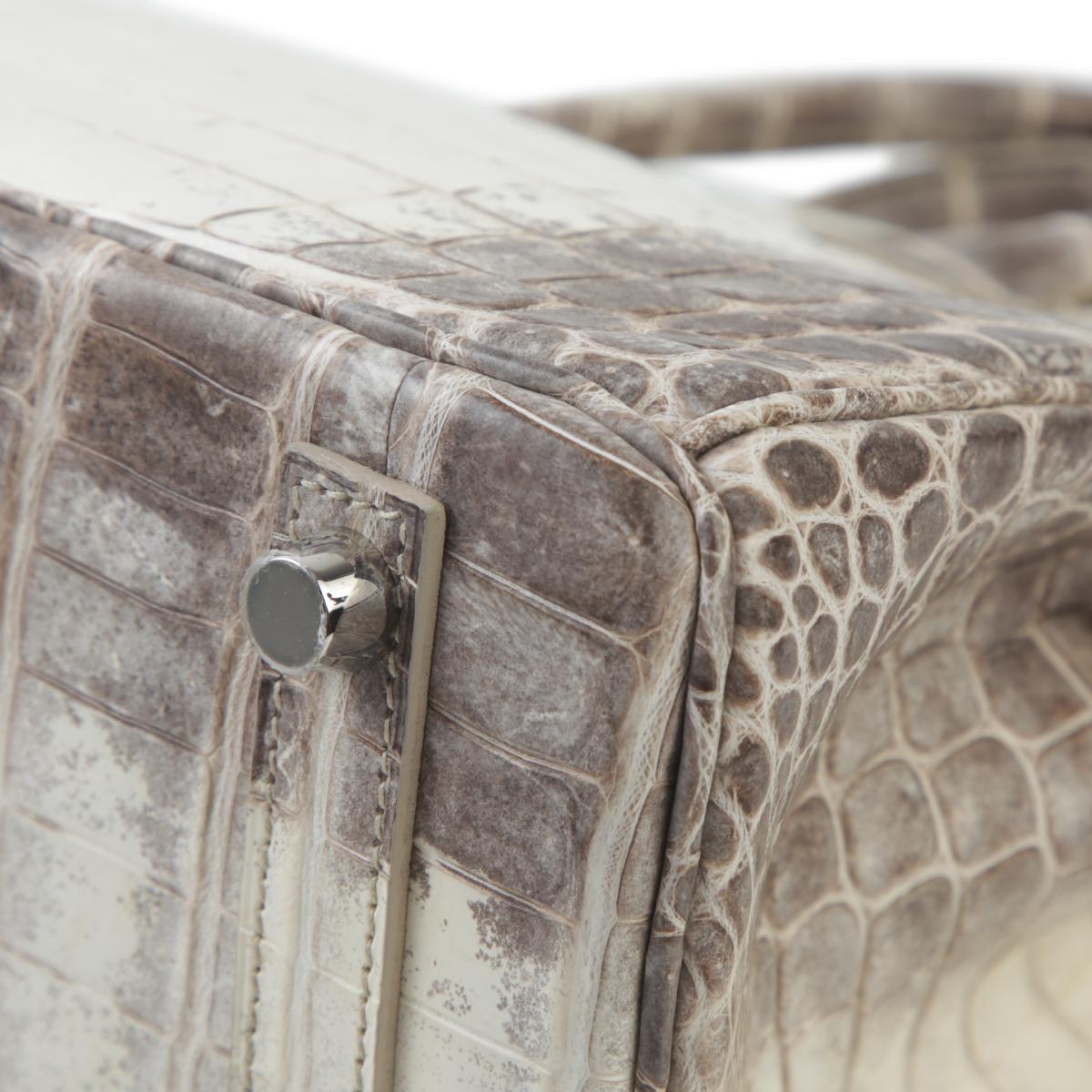 Unused ( Rank NS ) HERMÈS Limited Edition Birkin 25 Himalaya Matte Niloticus Crocodile Palladium hardware X (2016) - 11