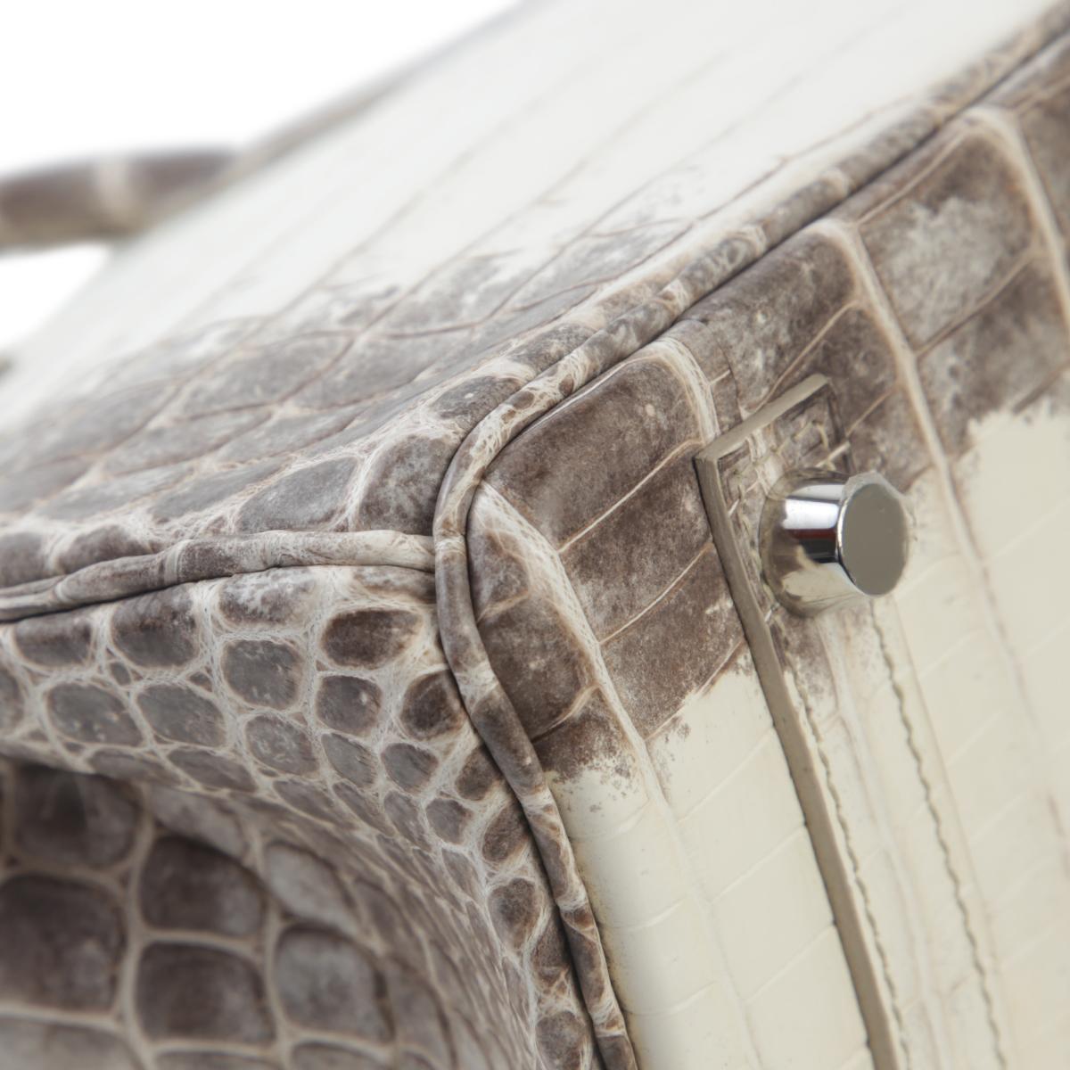 Unused ( Rank NS ) HERMÈS Limited Edition Birkin 25 Himalaya Matte Niloticus Crocodile Palladium hardware X (2016) - 10