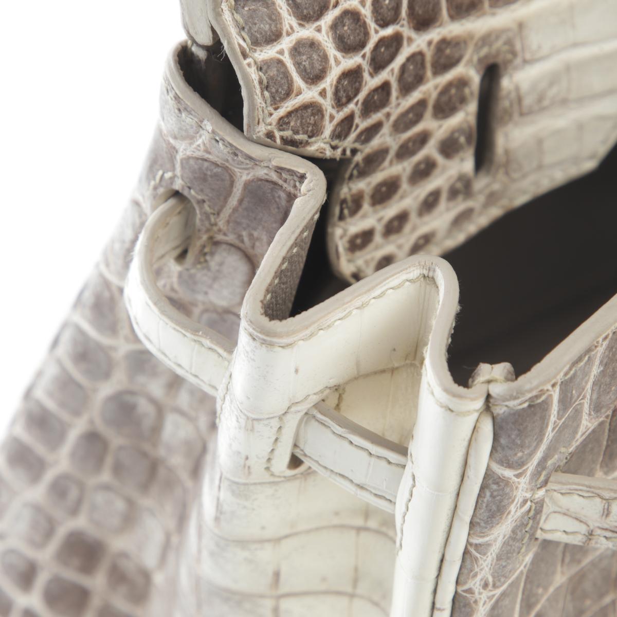 Unused ( Rank NS ) HERMÈS Limited Edition Birkin 25 Himalaya Matte Niloticus Crocodile Palladium hardware X (2016) - 16