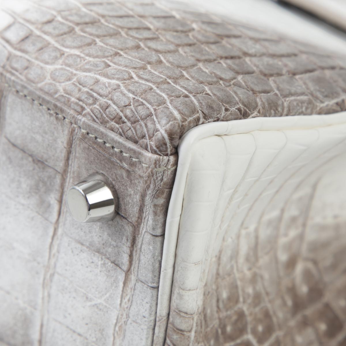Brand New ( Rank N ) HERMÈS Limited Edition Kelly 25 Himalaya Matte Niloticus Crocodile Palladium hardware W (2024) - 9
