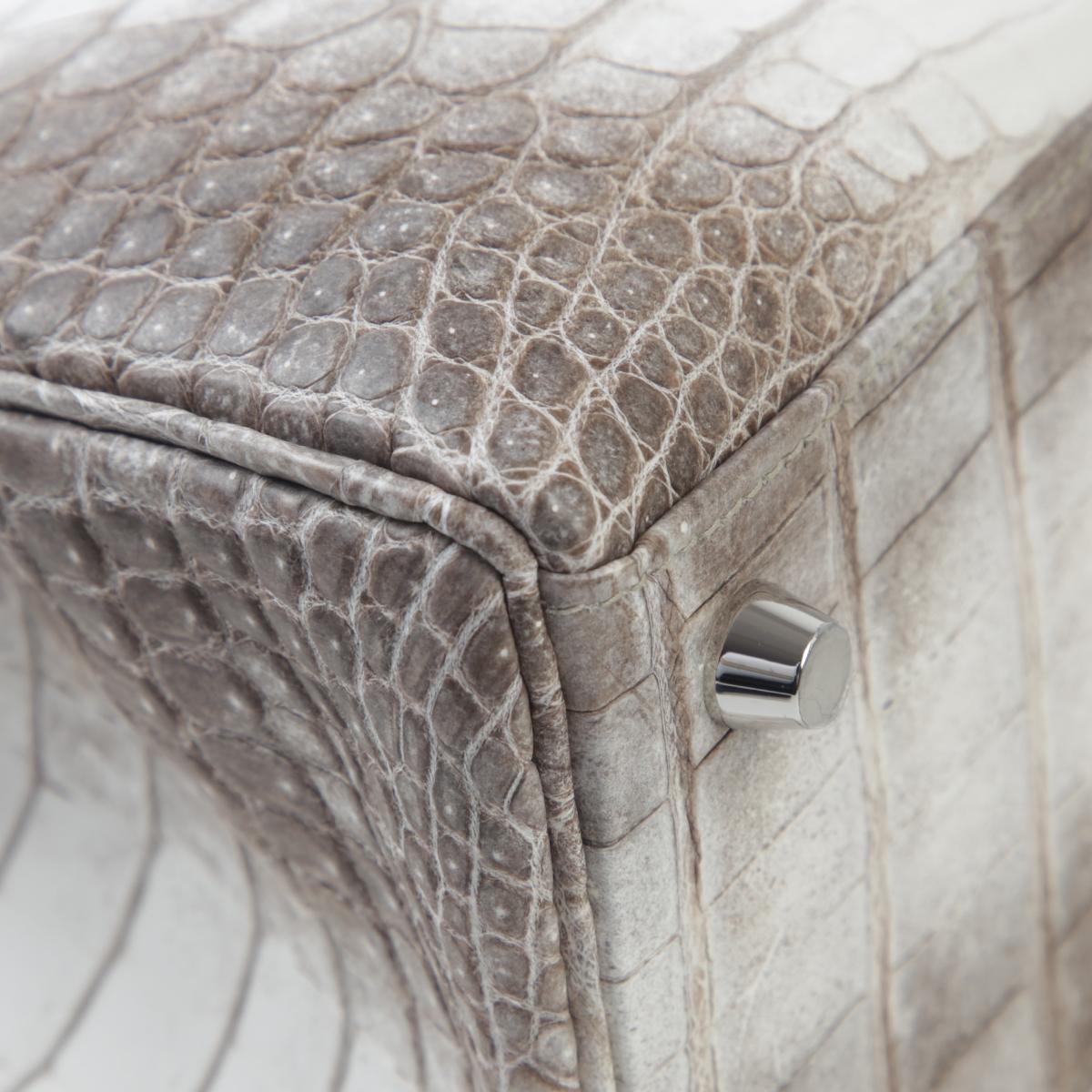 Brand New ( Rank N ) HERMÈS Limited Edition Kelly 25 Himalaya Matte Niloticus Crocodile Palladium hardware W (2024) - 10