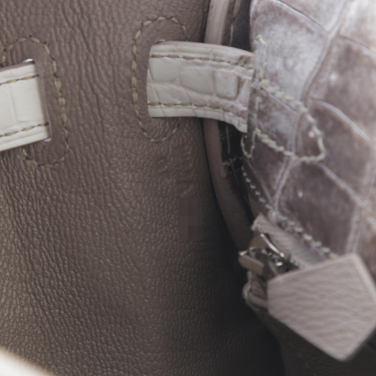 Brand New ( Rank N ) HERMÈS Limited Edition Kelly 25 Himalaya Matte Niloticus Crocodile Palladium hardware W (2024) - 17