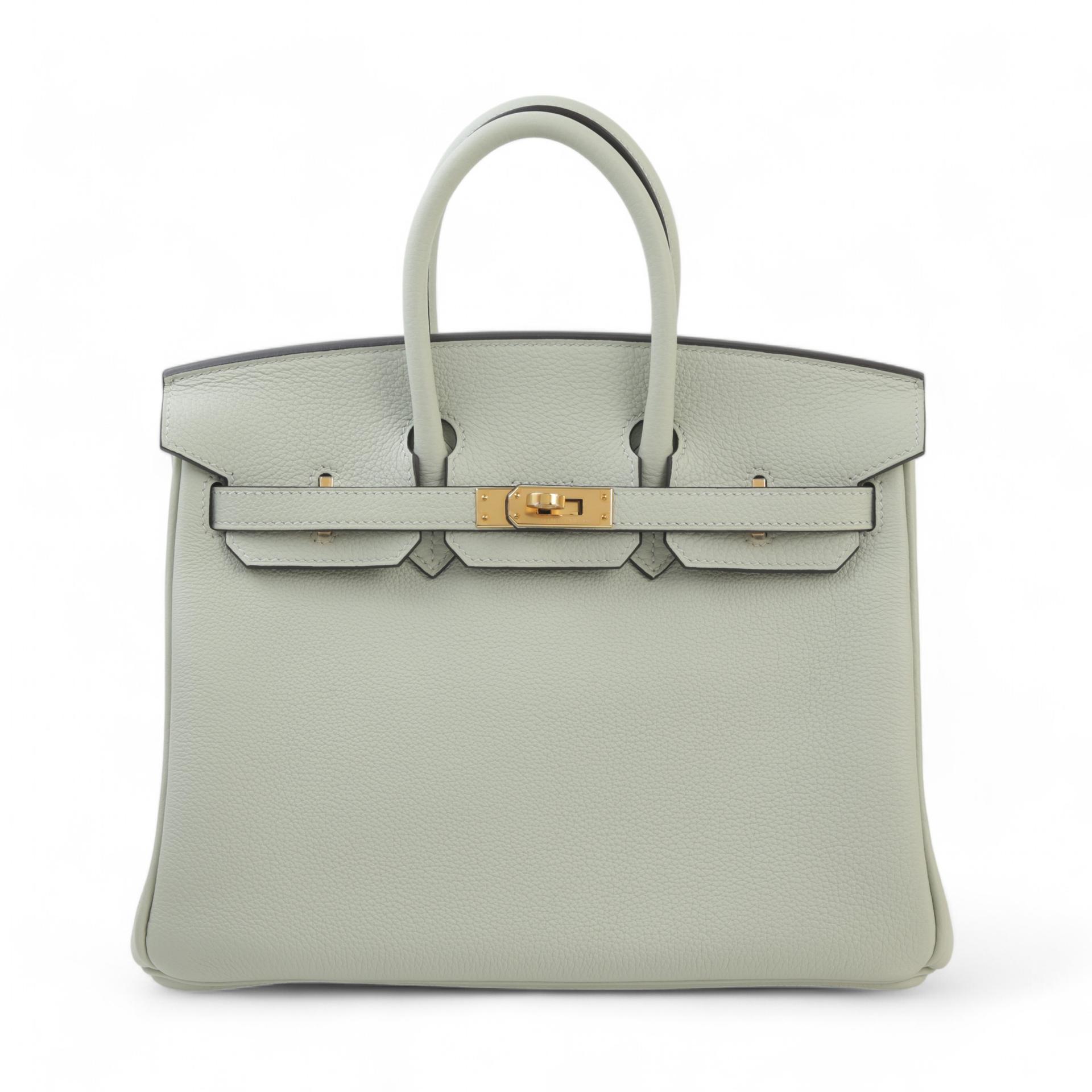Unused ( Rank NS ) HERMÈS Birkin 25 Gris Neve (0W) Togo Gold hardware B (2023) - 1