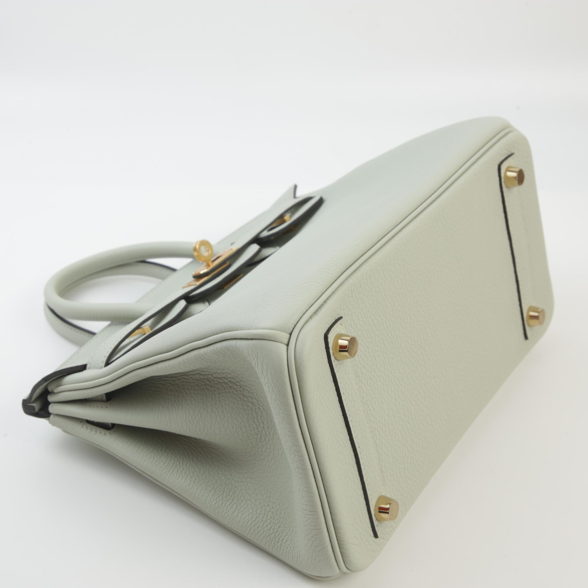 Unused ( Rank NS ) HERMÈS Birkin 25 Gris Neve (0W) Togo Gold hardware B (2023) - 4