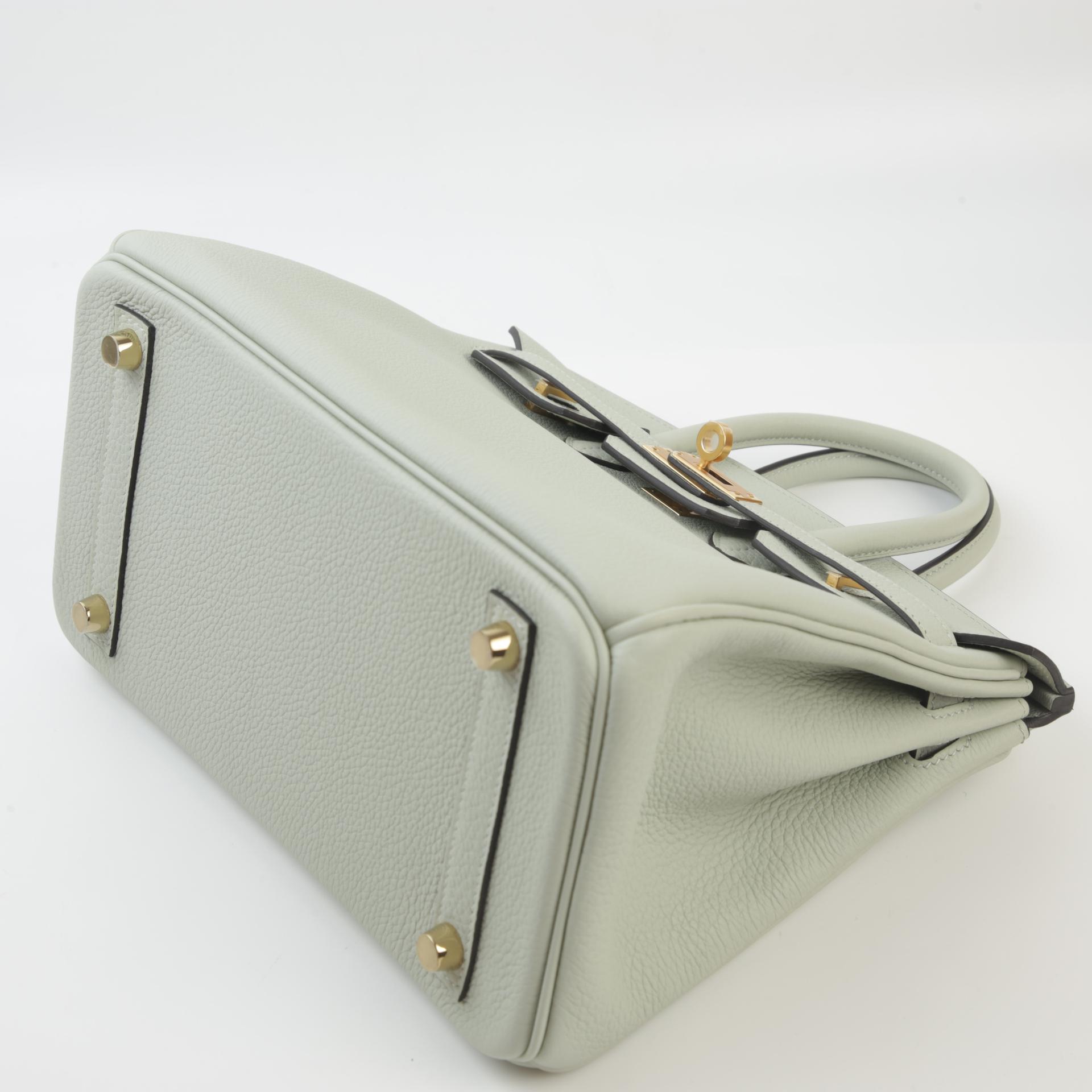 Unused ( Rank NS ) HERMÈS Birkin 25 Gris Neve (0W) Togo Gold hardware B (2023) - 5