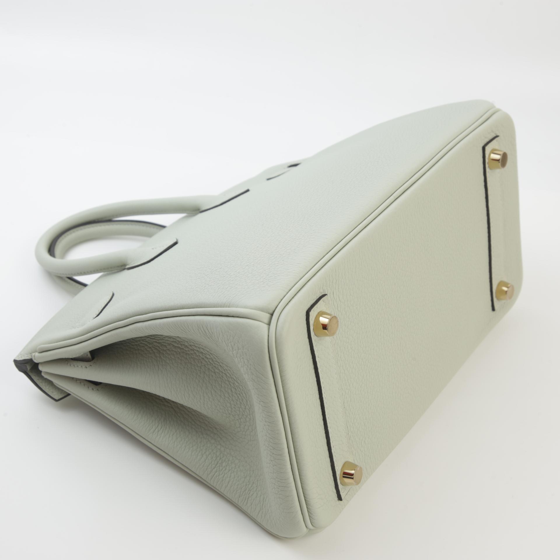Unused ( Rank NS ) HERMÈS Birkin 25 Gris Neve (0W) Togo Gold hardware B (2023) - 6