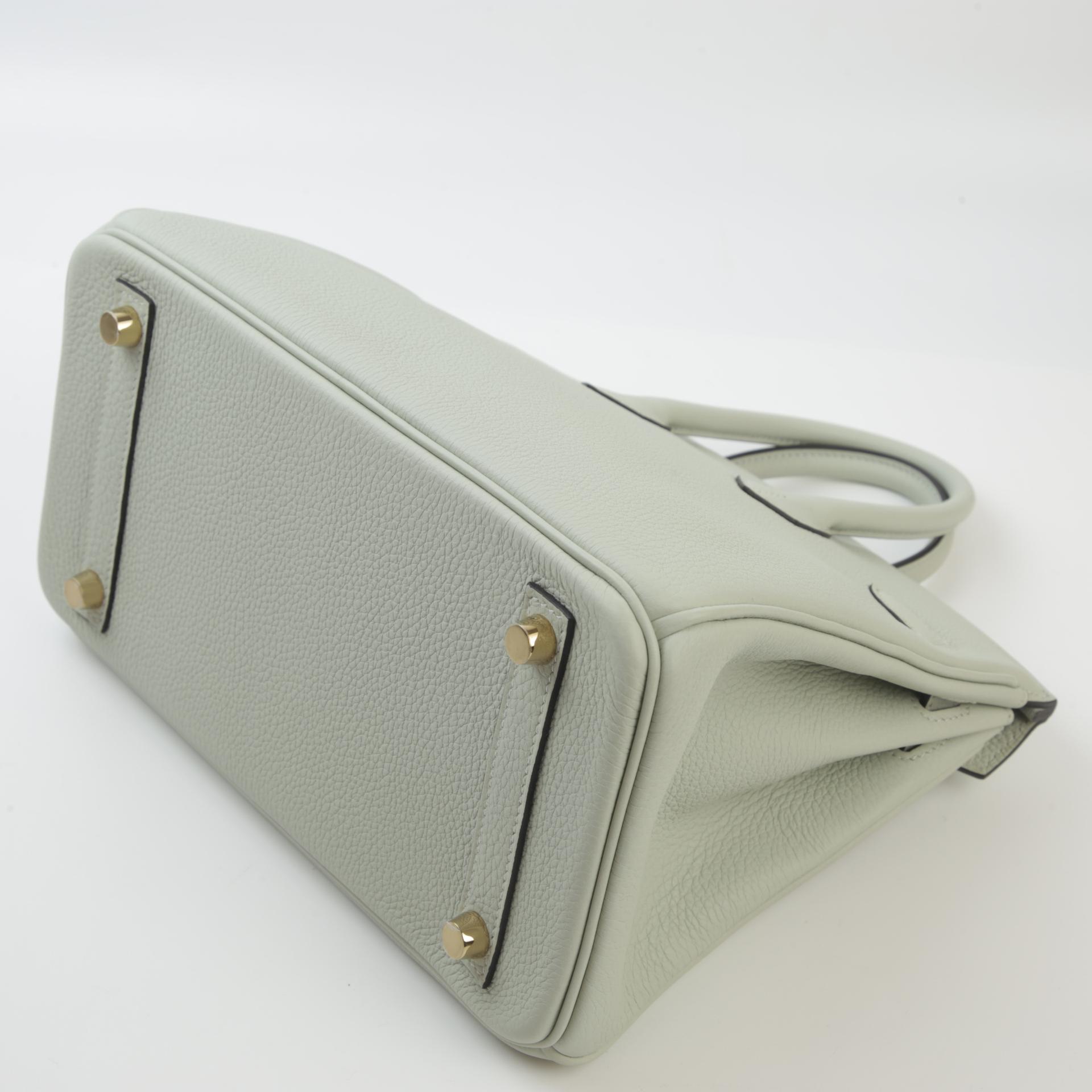 Unused ( Rank NS ) HERMÈS Birkin 25 Gris Neve (0W) Togo Gold hardware B (2023) - 7