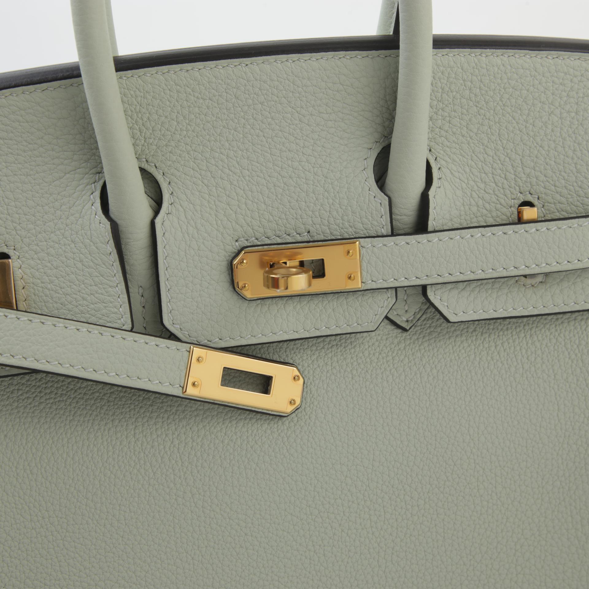 Unused ( Rank NS ) HERMÈS Birkin 25 Gris Neve (0W) Togo Gold hardware B (2023) - 8