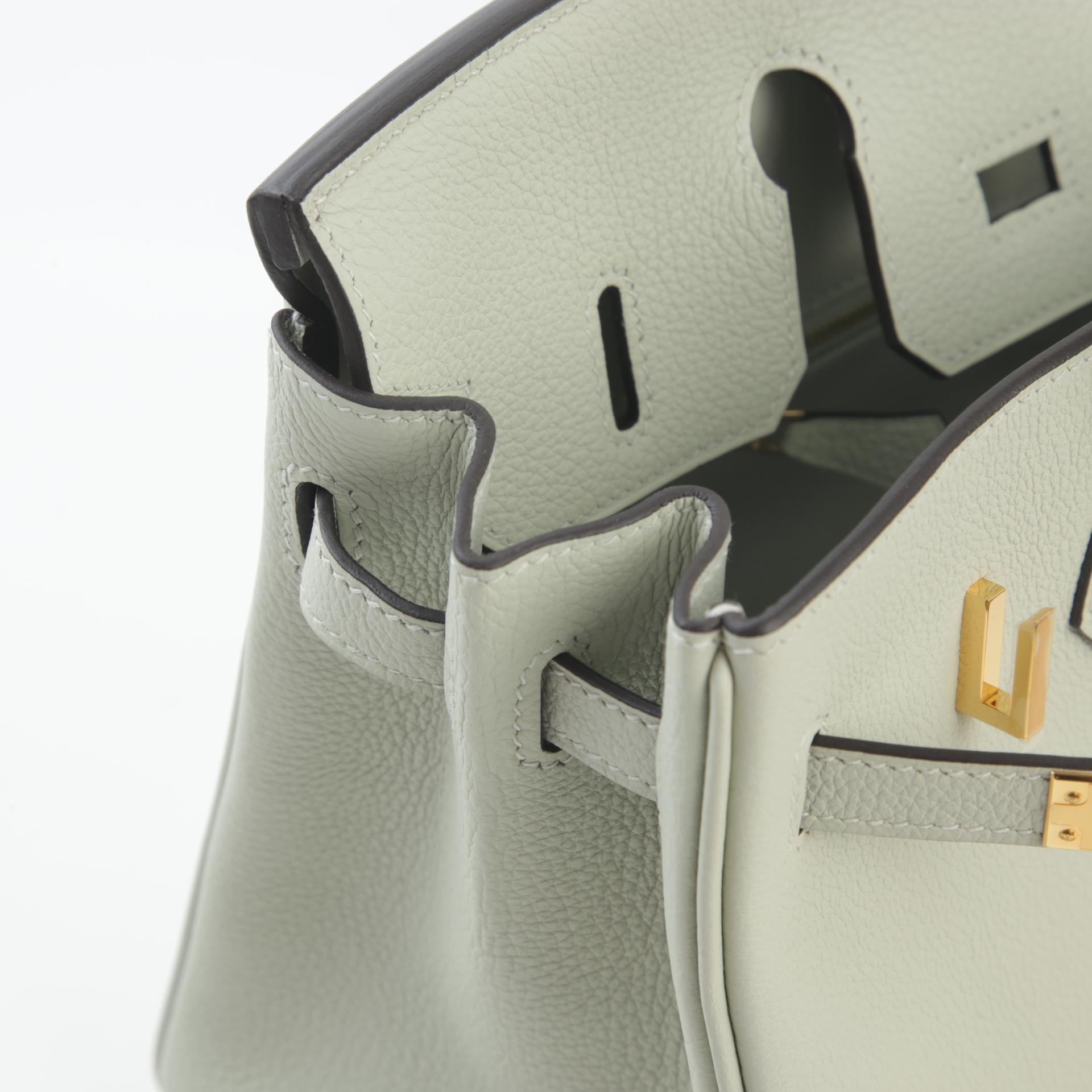 Unused ( Rank NS ) HERMÈS Birkin 25 Gris Neve (0W) Togo Gold hardware B (2023) - 12