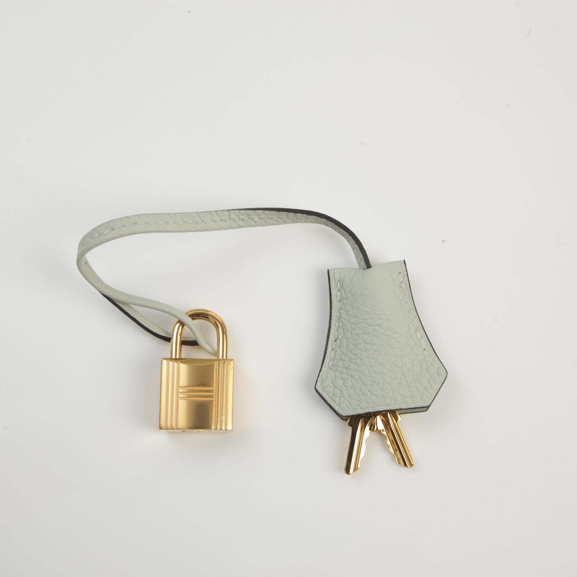 Unused ( Rank NS ) HERMÈS Birkin 25 Gris Neve (0W) Togo Gold hardware B (2023) - 14