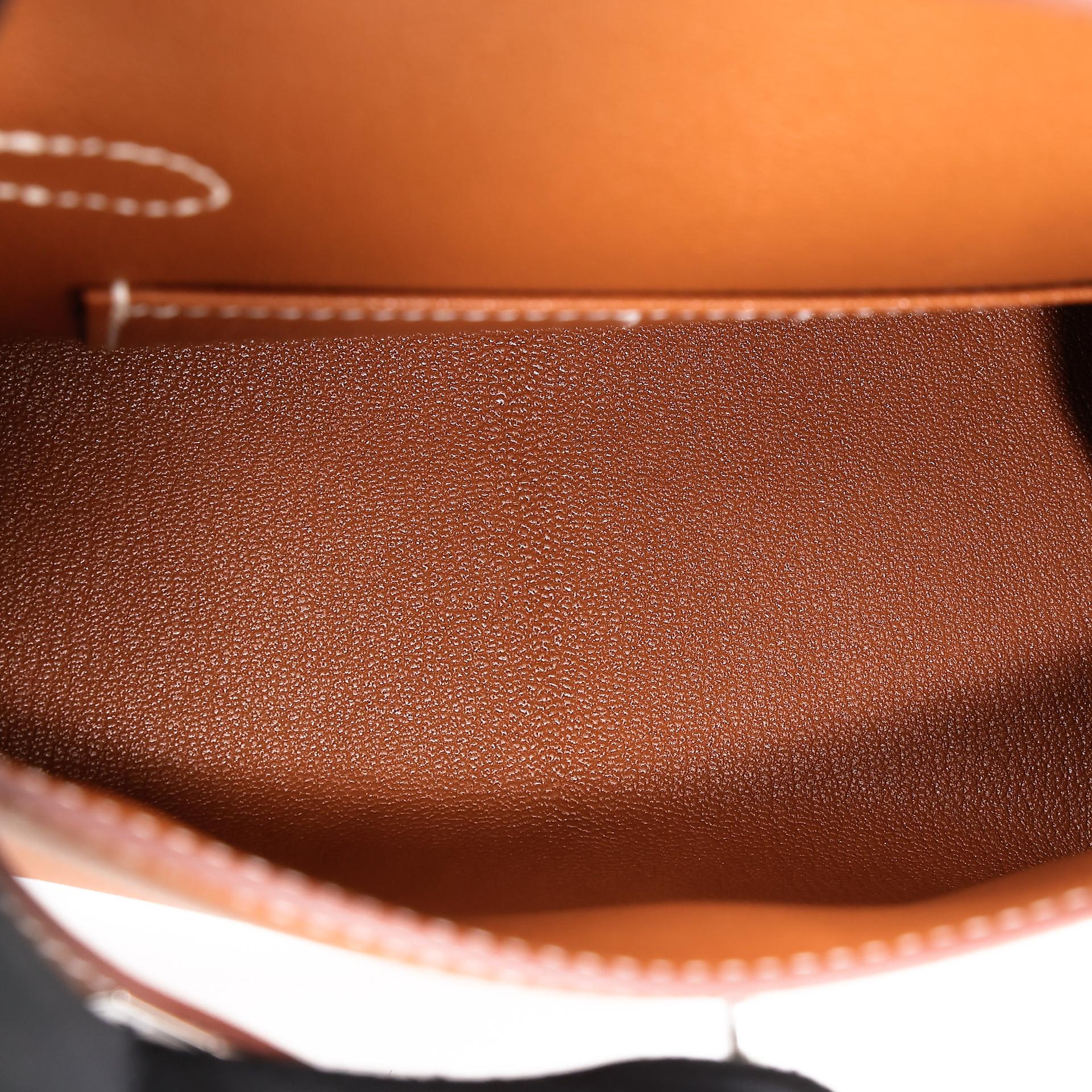 Brand New ( Rank N ) HERMÈS Limited Edition Kelly 20 en Desordre Gold (37) Epsom Palladium hardware W (2024) - 18
