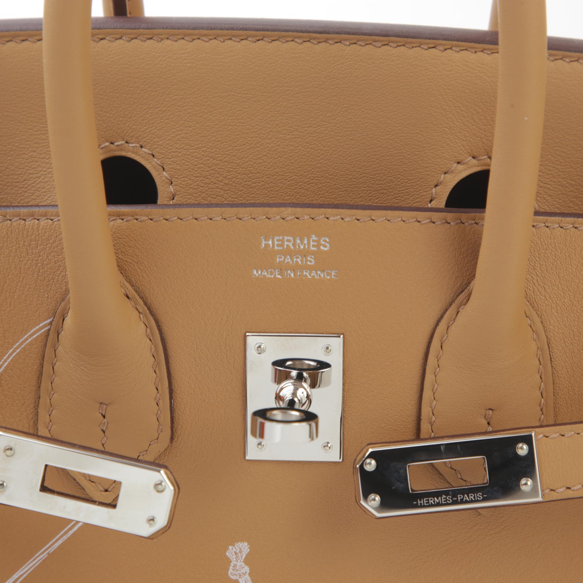 Very Good ( Rank A) HERMÈS Limited Edition Birkin 25 In & Out Biscuit (4B) Swift Palladium hardware B (2023) - 9