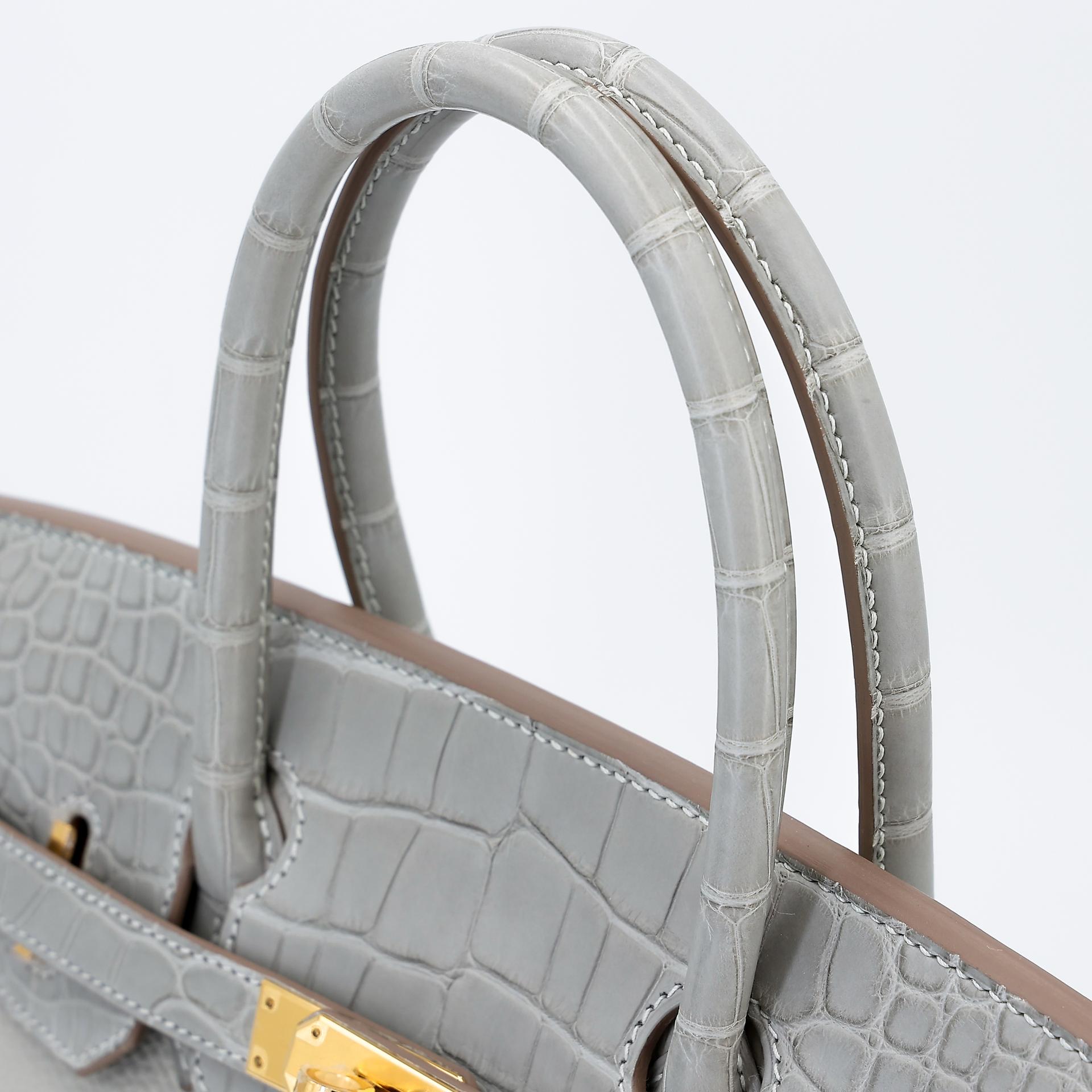 Brand New ( Rank N ) HERMÈS Birkin 30 Touch Gris Perle (80) Togo Matte Alligator Gold hardware B (2023) - 3