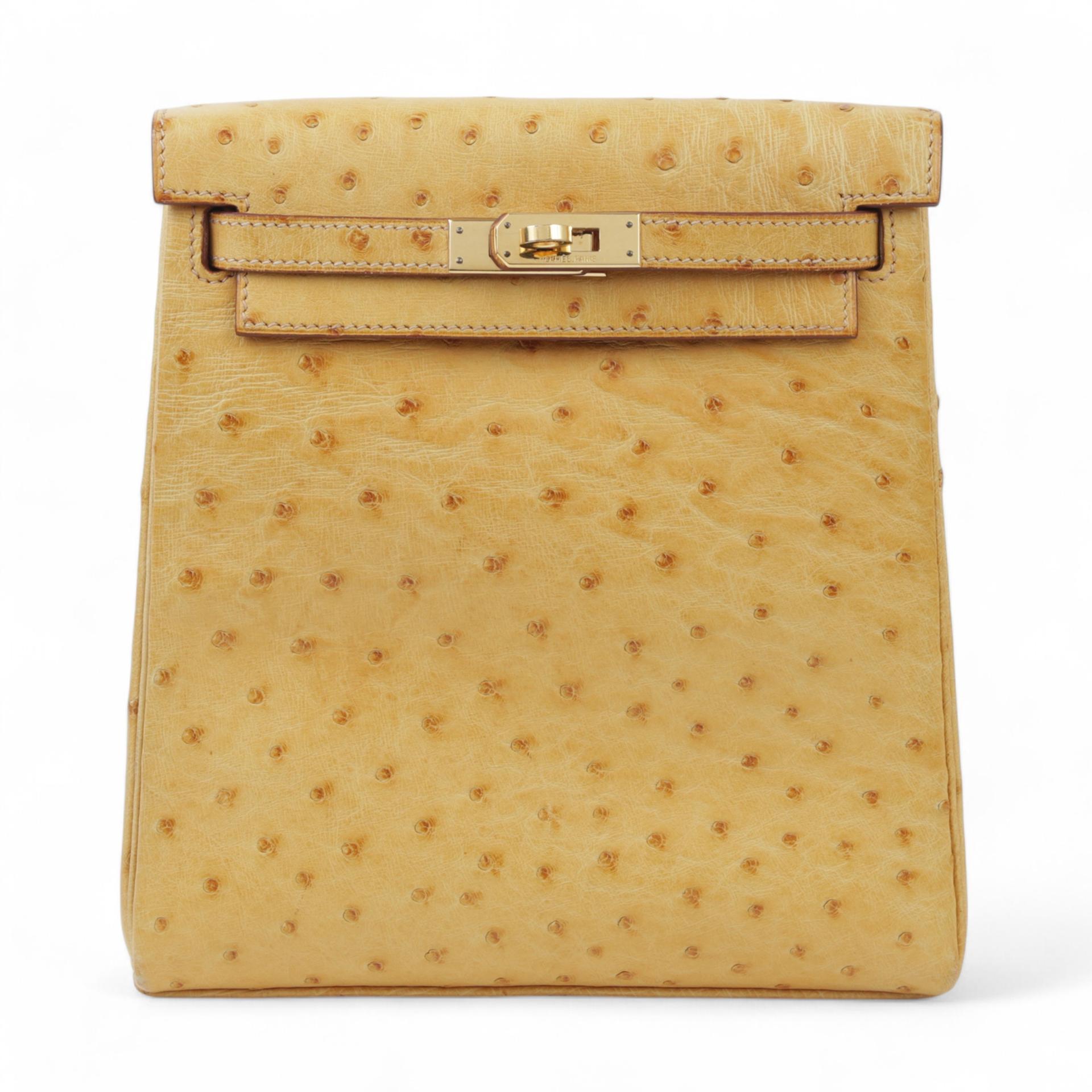 ランク B HERMÈS エルメス ケリーアド PM サフラン (22) オーストリッチ ゴールド金具 □D刻印 - 1