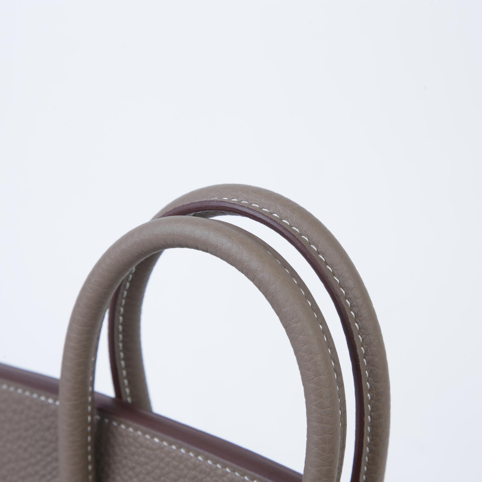 Brand New ( Rank N )  HERMÈS  Birkin 25 Etoupe (18) Togo Gold hardware W (2024) - 3