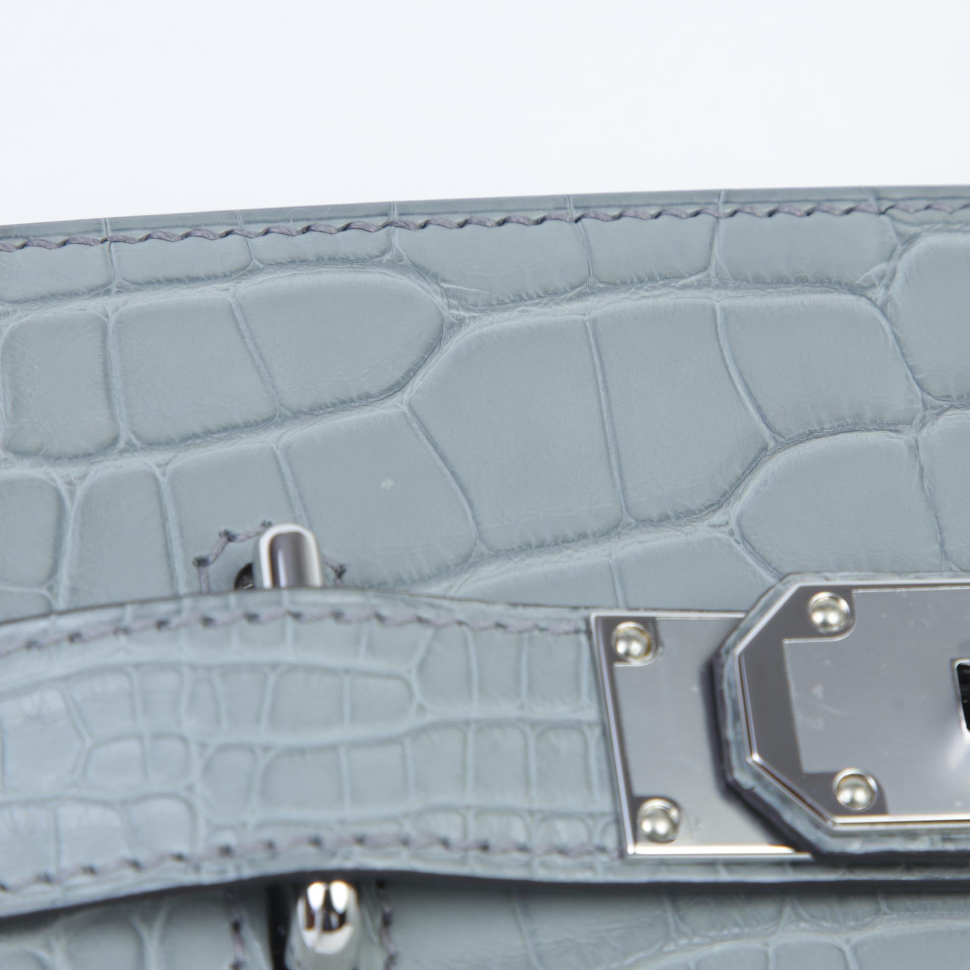 Brand New ( Rank N ) HERMÈS Hac a Dos PM Gris Ciment (0V) Matte Alligator Palladium hardware W (2024) - 8