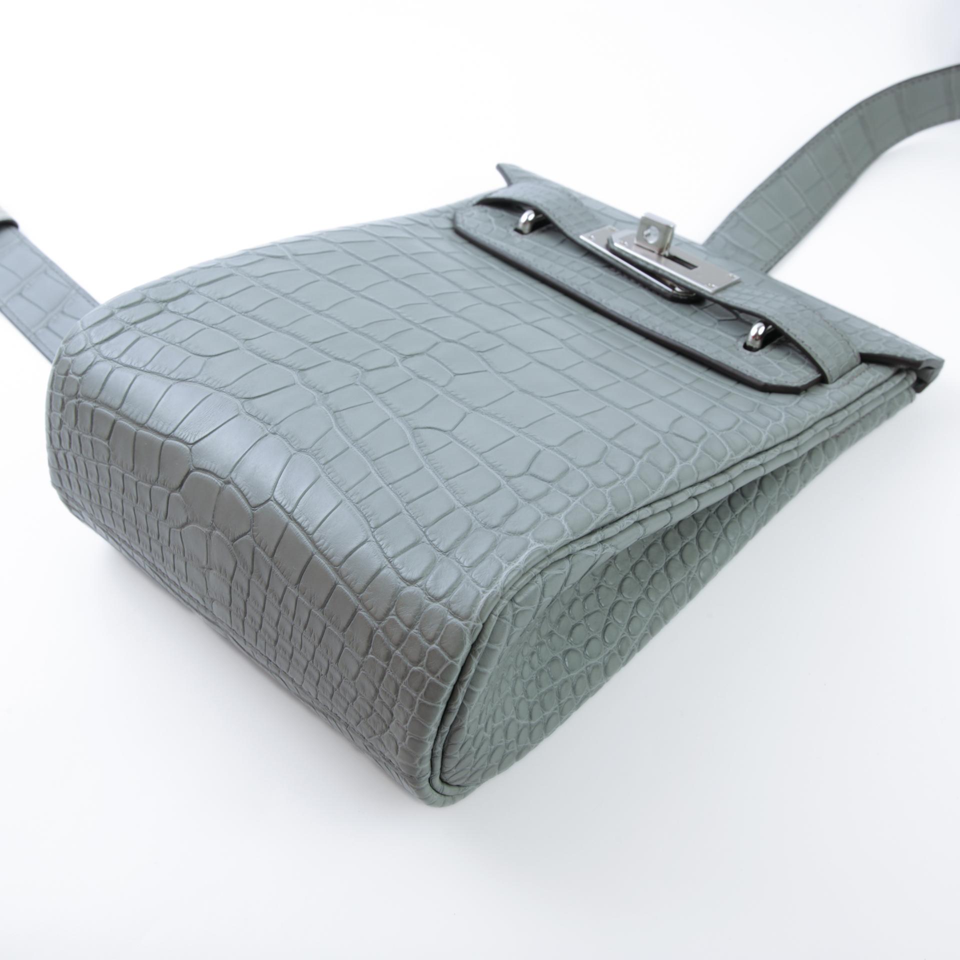 Brand New ( Rank N ) HERMÈS Hac a Dos PM Gris Ciment (0V) Matte Alligator Palladium hardware W (2024) - 4