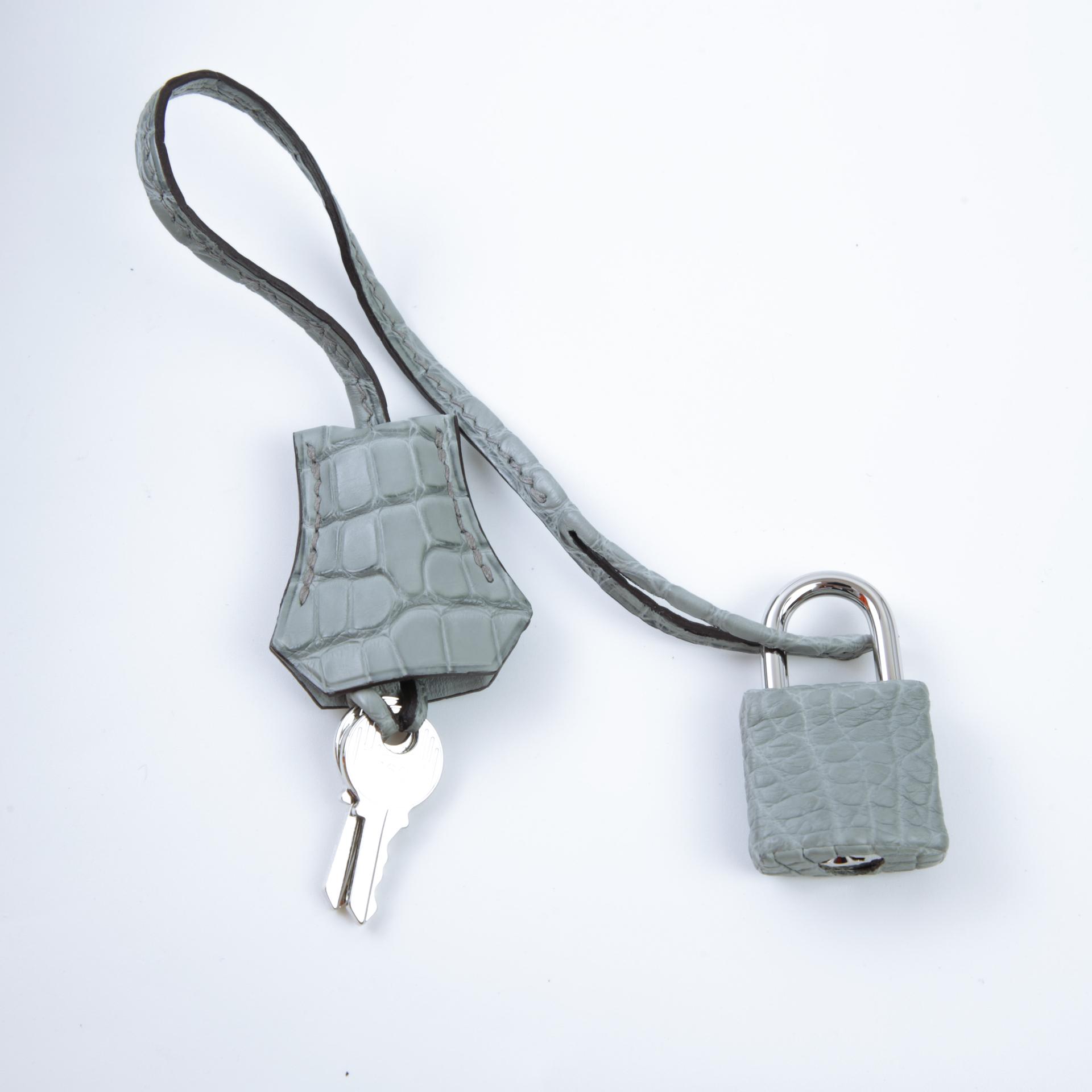 Brand New ( Rank N ) HERMÈS Hac a Dos PM Gris Ciment (0V) Matte Alligator Palladium hardware W (2024) - 15