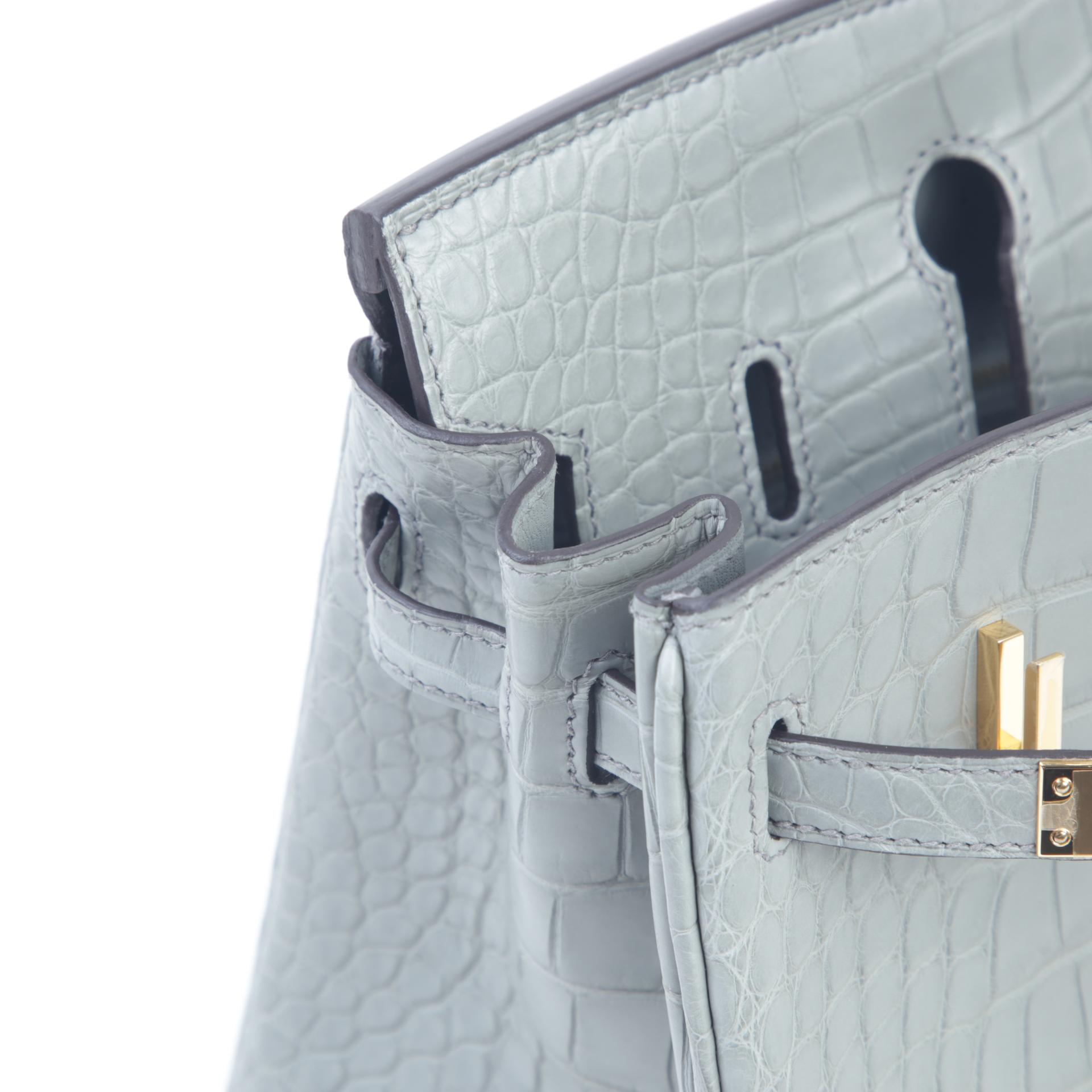 全新 HERMÈS 爱马仕 Birkin 25 0V 水晶灰 Gris Ciment  □ 短吻鳄 雾面 金扣 W刻 2024年 - 12