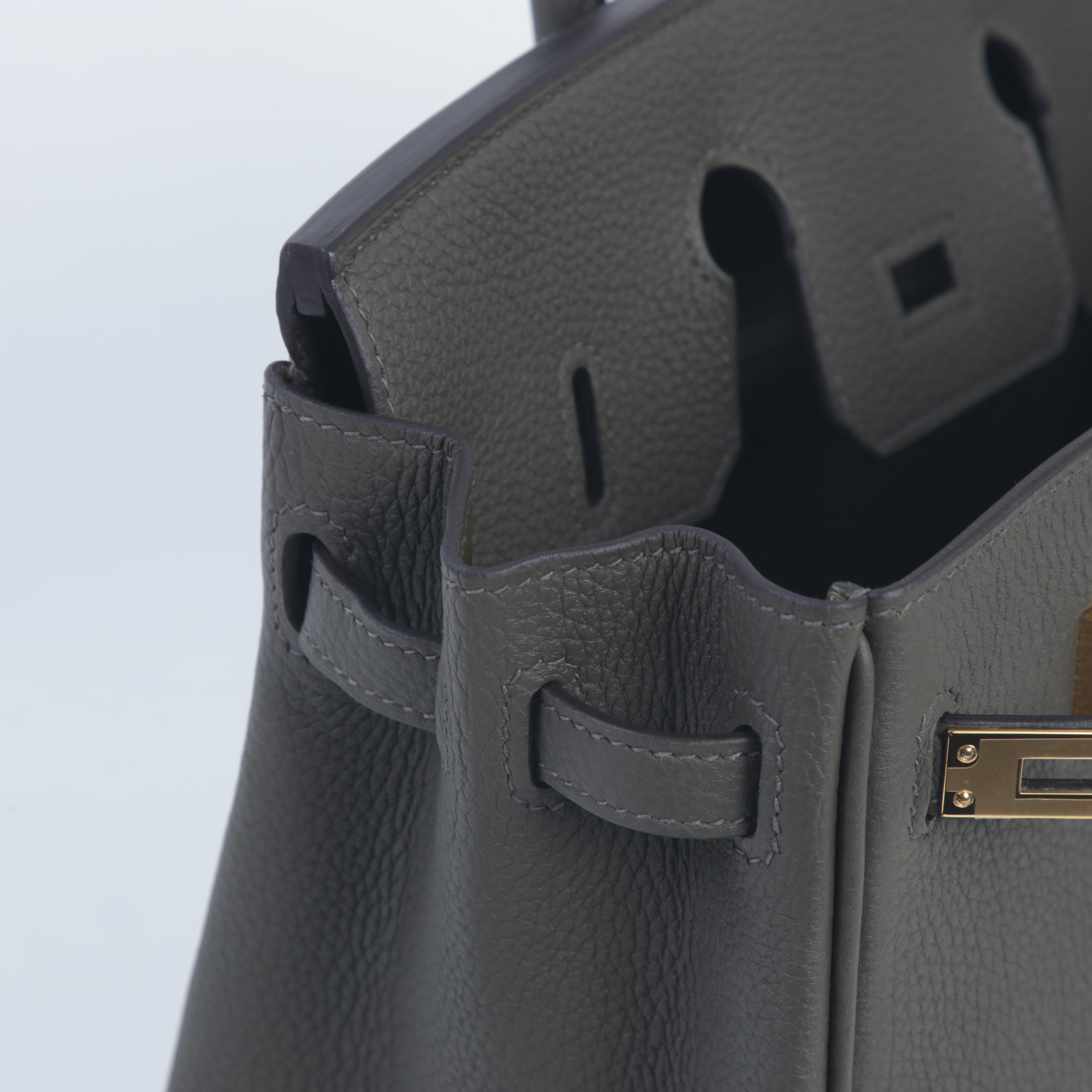 Brand New ( Rank N )  HERMÈS  Birkin 25 Vert Maquis (G8) Togo Gold hardware W (2024) - 12