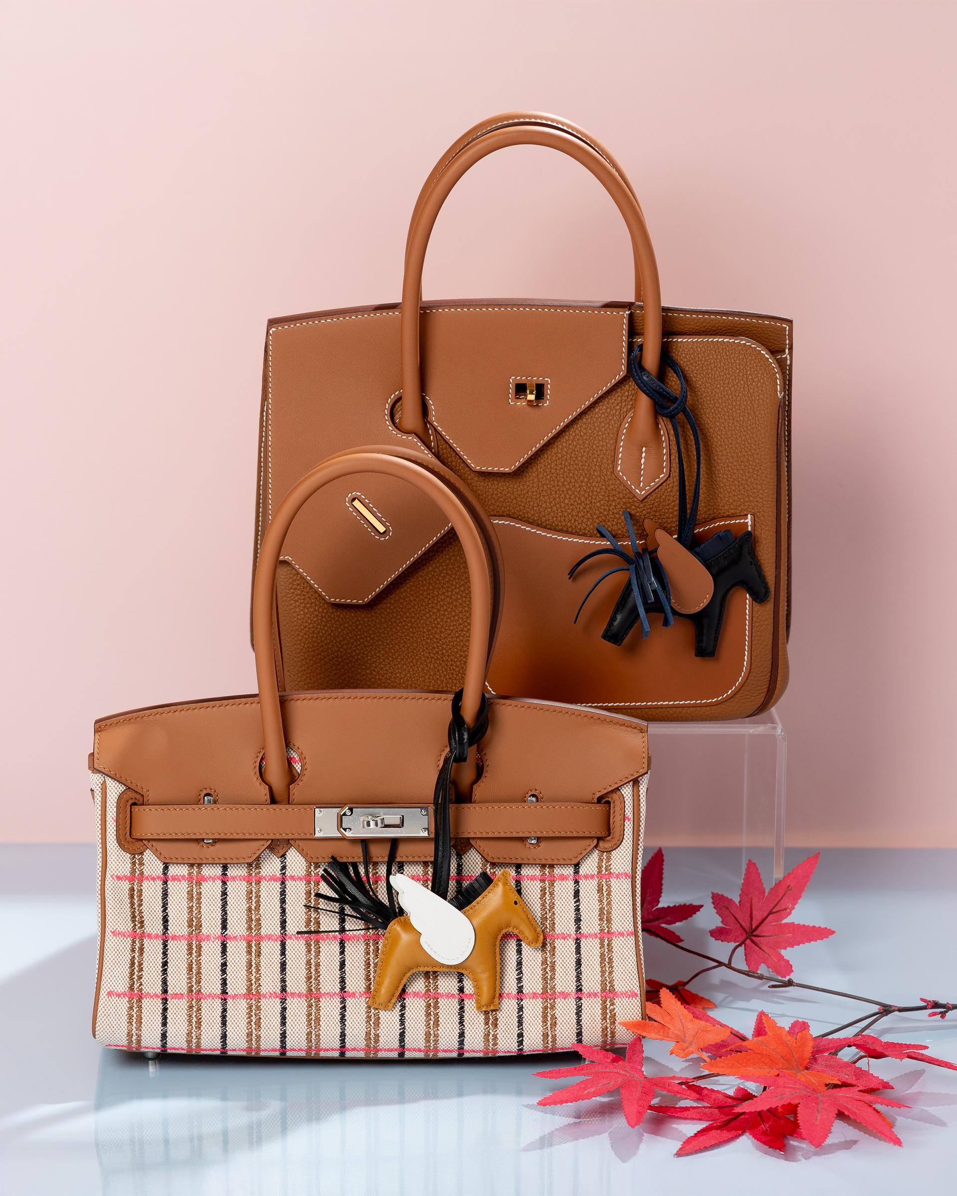 Brand New ( Rank N ) HERMÈS Limited Edition Birkin 30 en Desordre Gold (37) Togo Swift Gold hardware W (2024) - 18