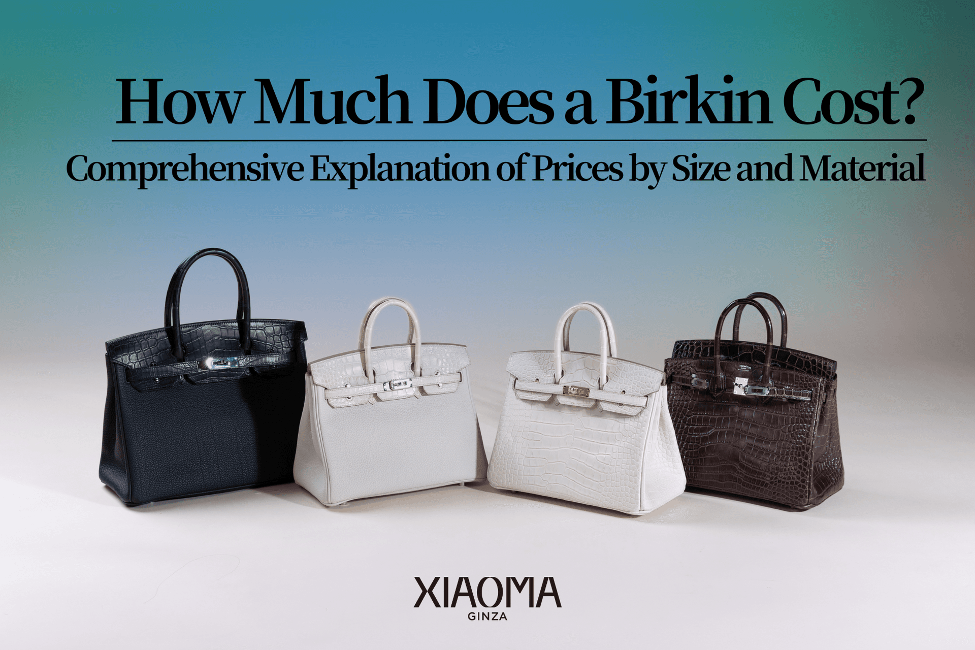Birkin Bag Price Guide: Comprehensive Breakdown by Size and Material [2025 Update]