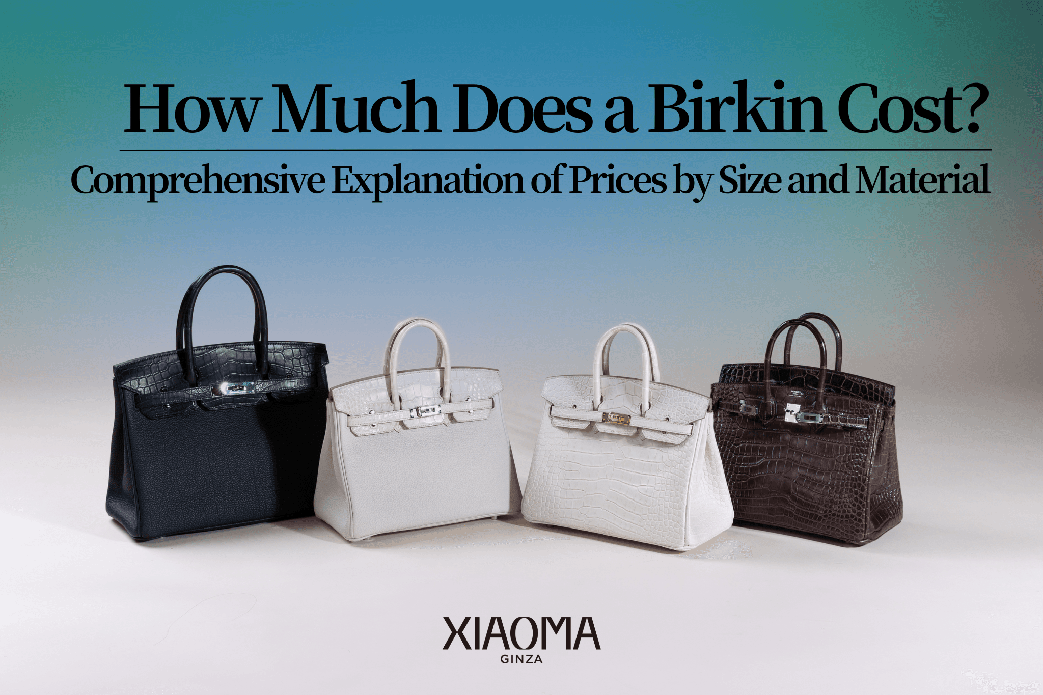 Birkin Bag Price Guide: Comprehensive Breakdown by Size and Material [2025 Update]