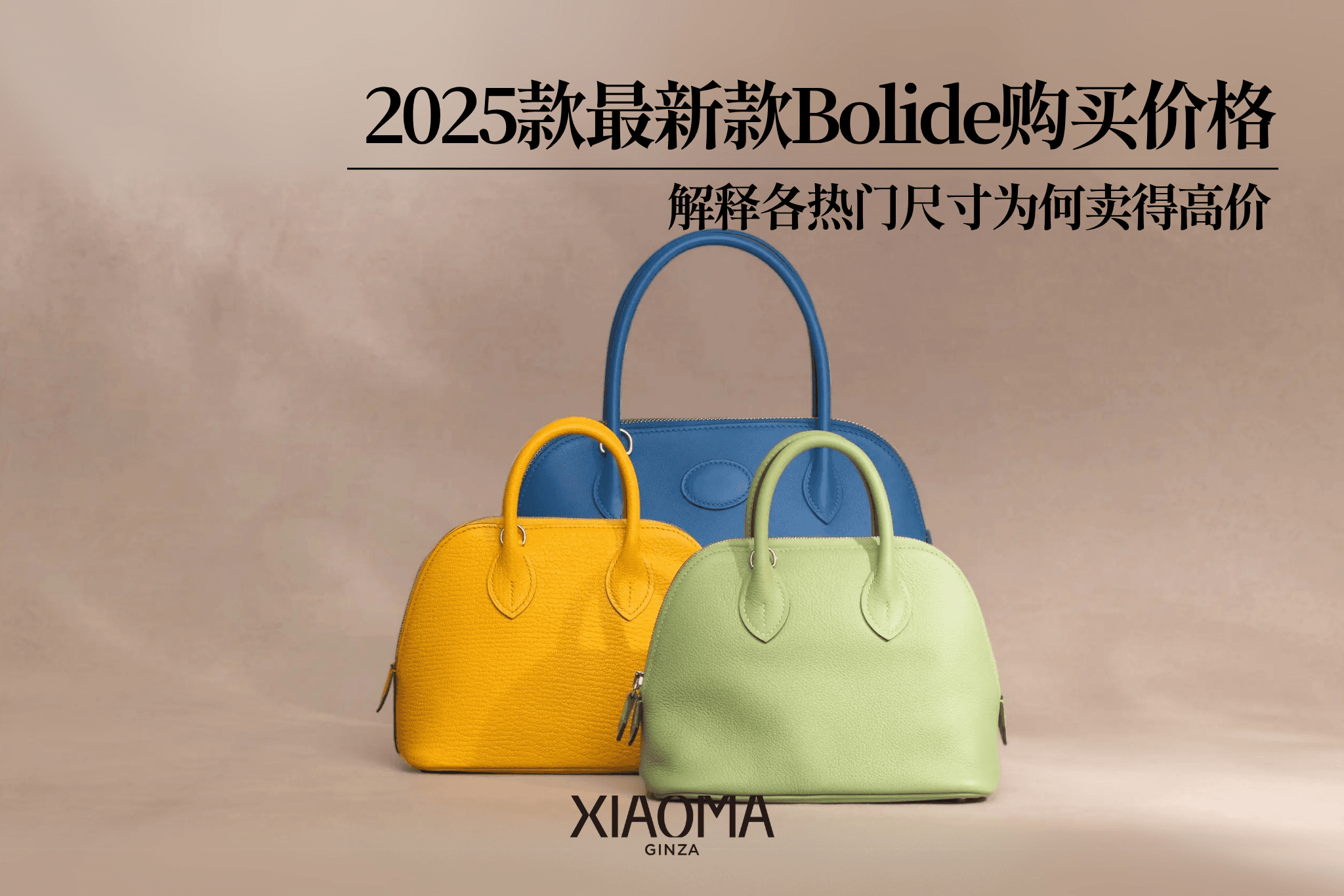 Bolide 回收行情【2025年最新版】依人氣尺寸解说高价出售的关键要点