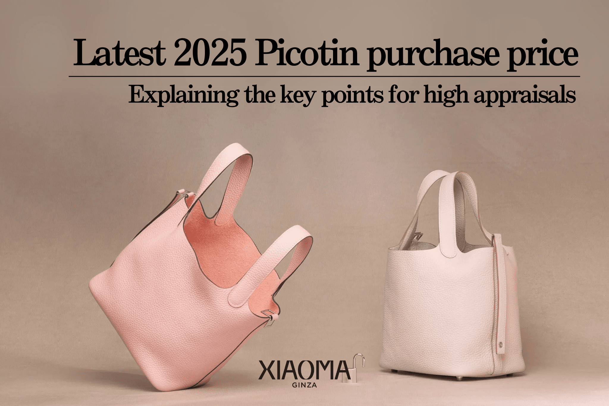 【2025 Edition】Picotin Resale Prices & Tips for Getting the Best Offer