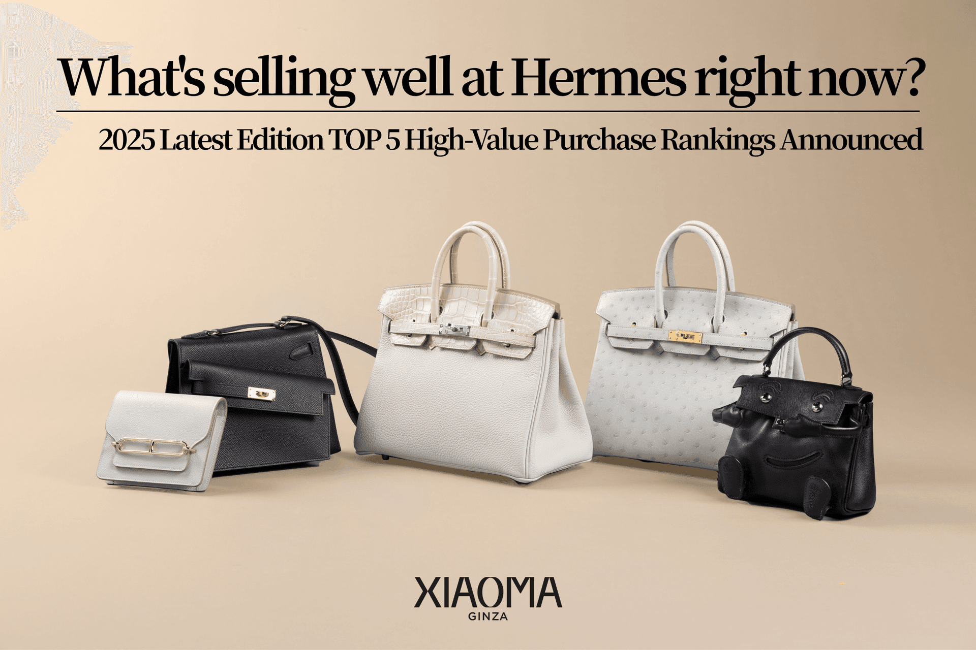 Top 5 Most Valuable Hermès Items in 2025 + Smart Selling Tips