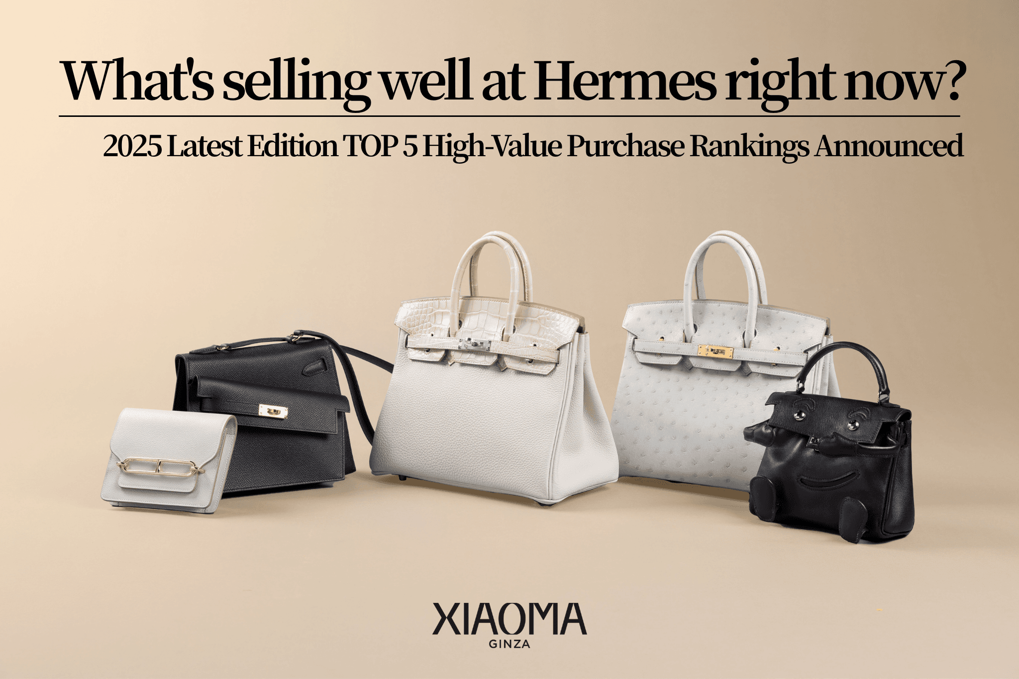 Top 5 Most Valuable Hermès Items in 2025 + Smart Selling Tips