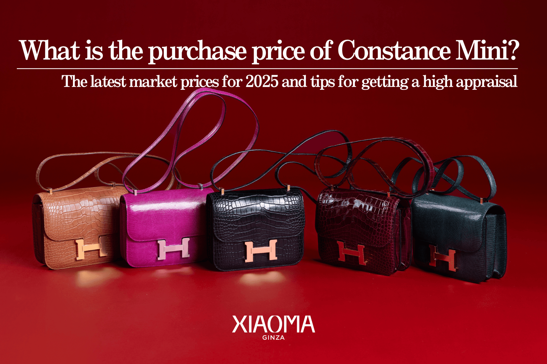 Reveal the True Worth of Your Constance Mini: 2025 Price Trends & Selling Tips