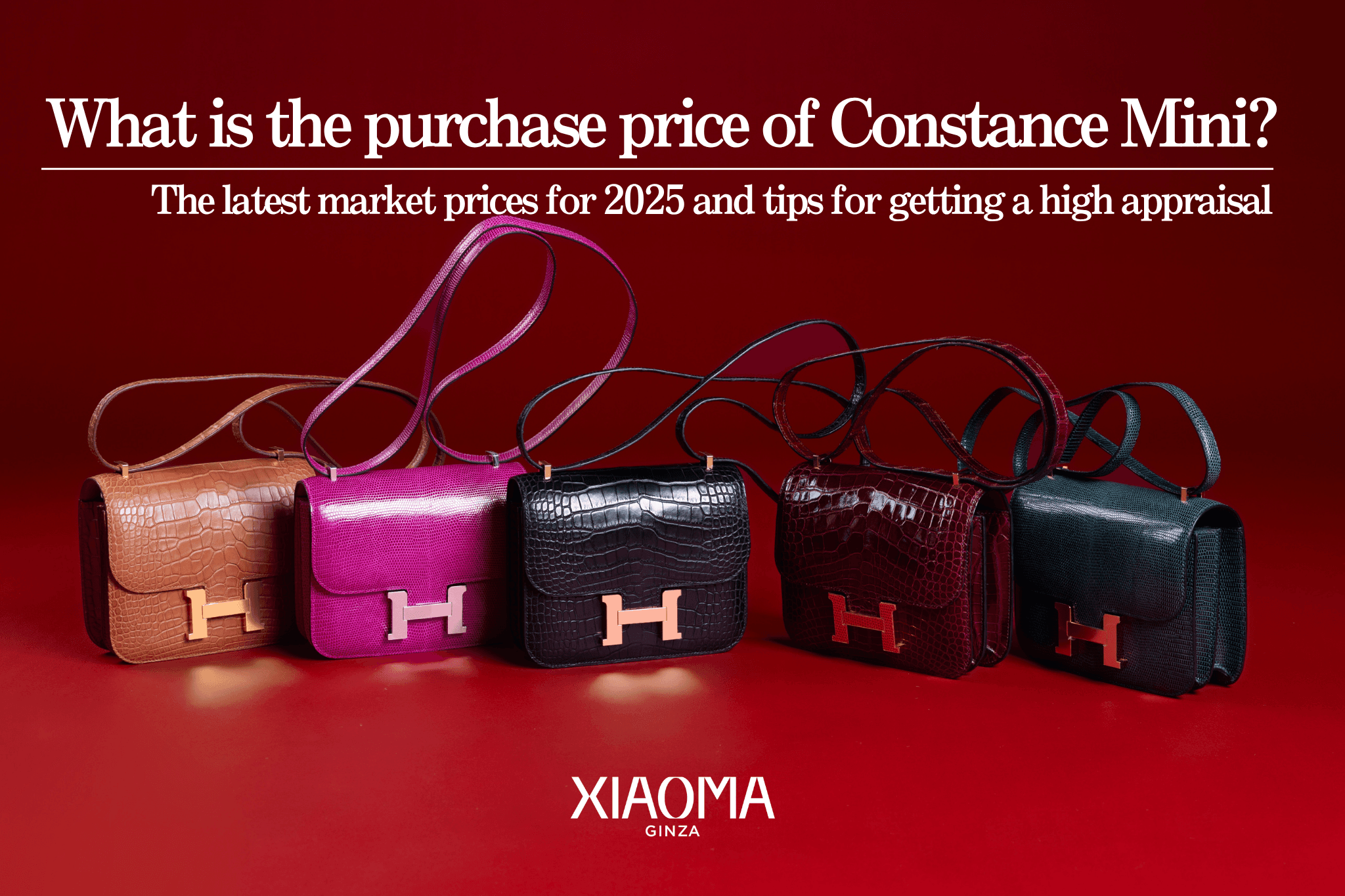 Reveal the True Worth of Your Constance Mini: 2025 Price Trends & Selling Tips