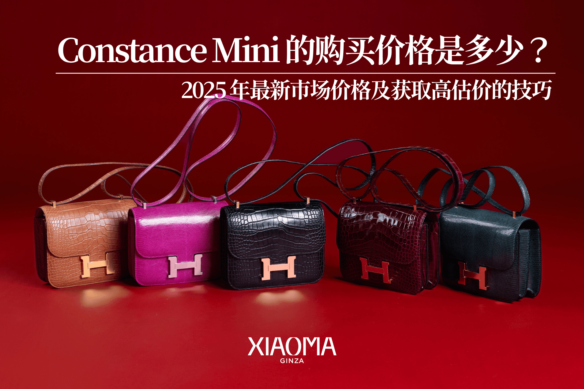 Constance Mini 的收购价格是多少？2025 最新行情与高价出售秘诀