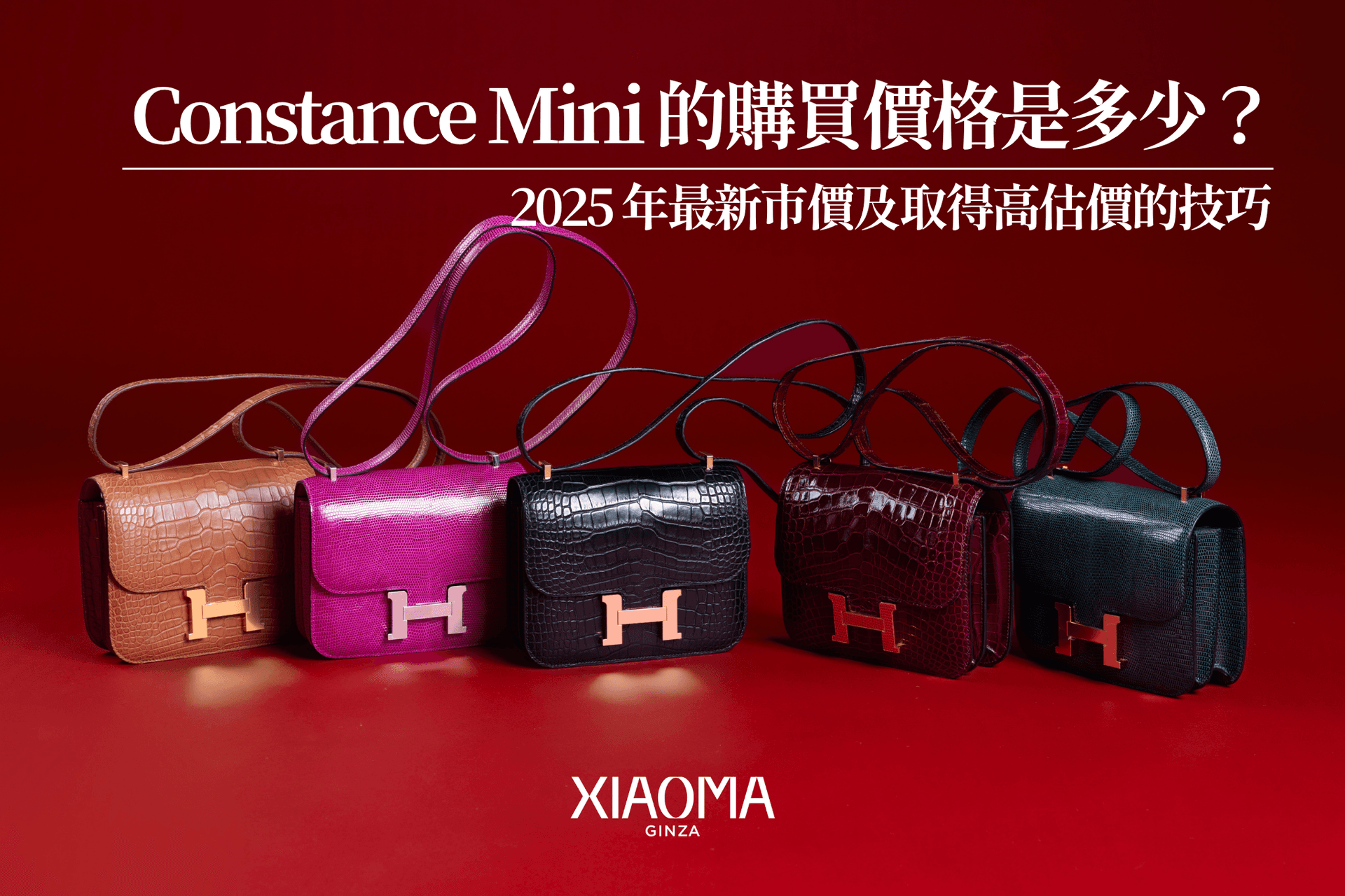 Constance Mini 的收購價格是多少？2025 最新行情與高價出售秘訣