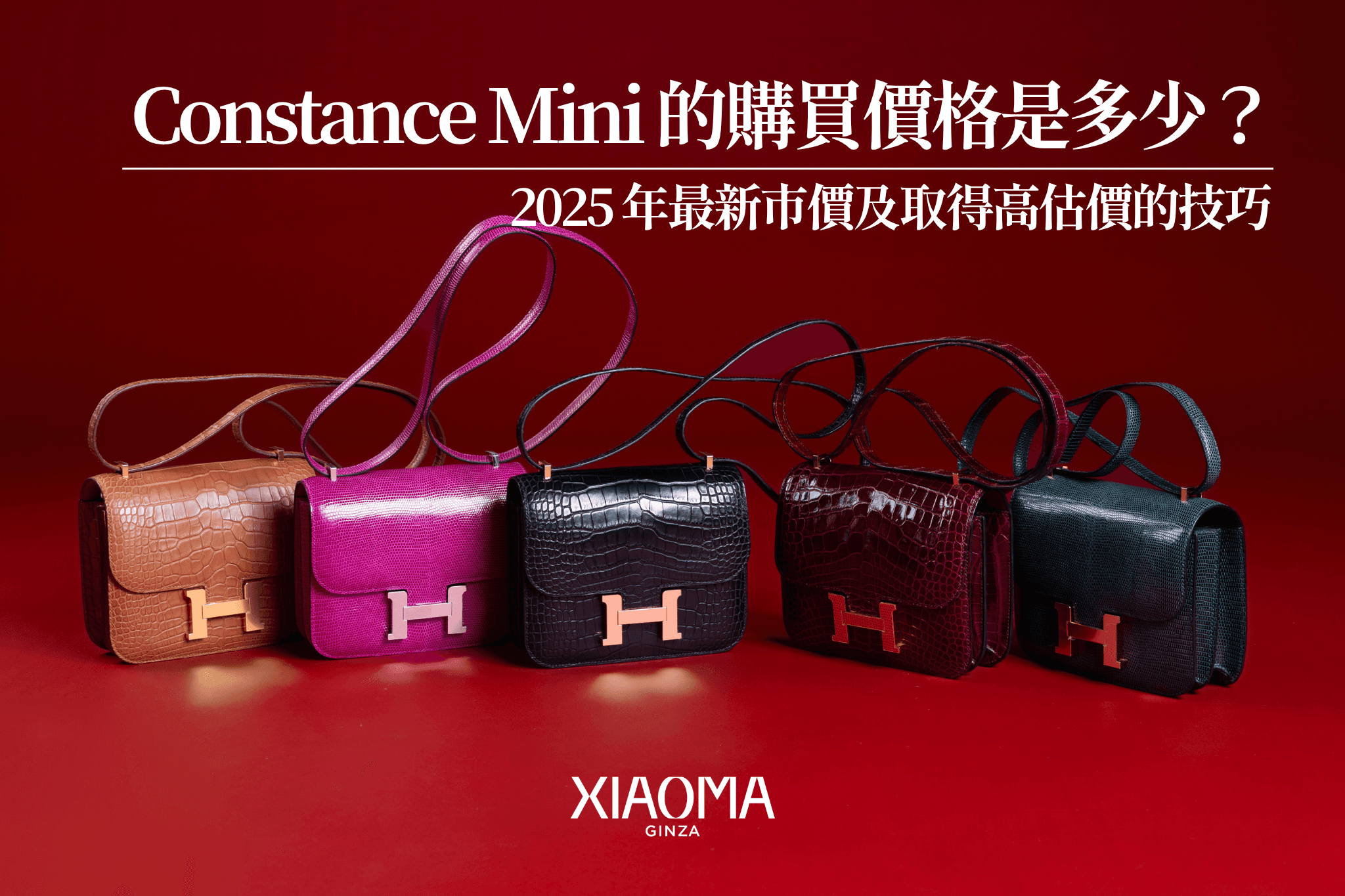Constance Mini 的收購價格是多少？2025 最新行情與高價出售秘訣
