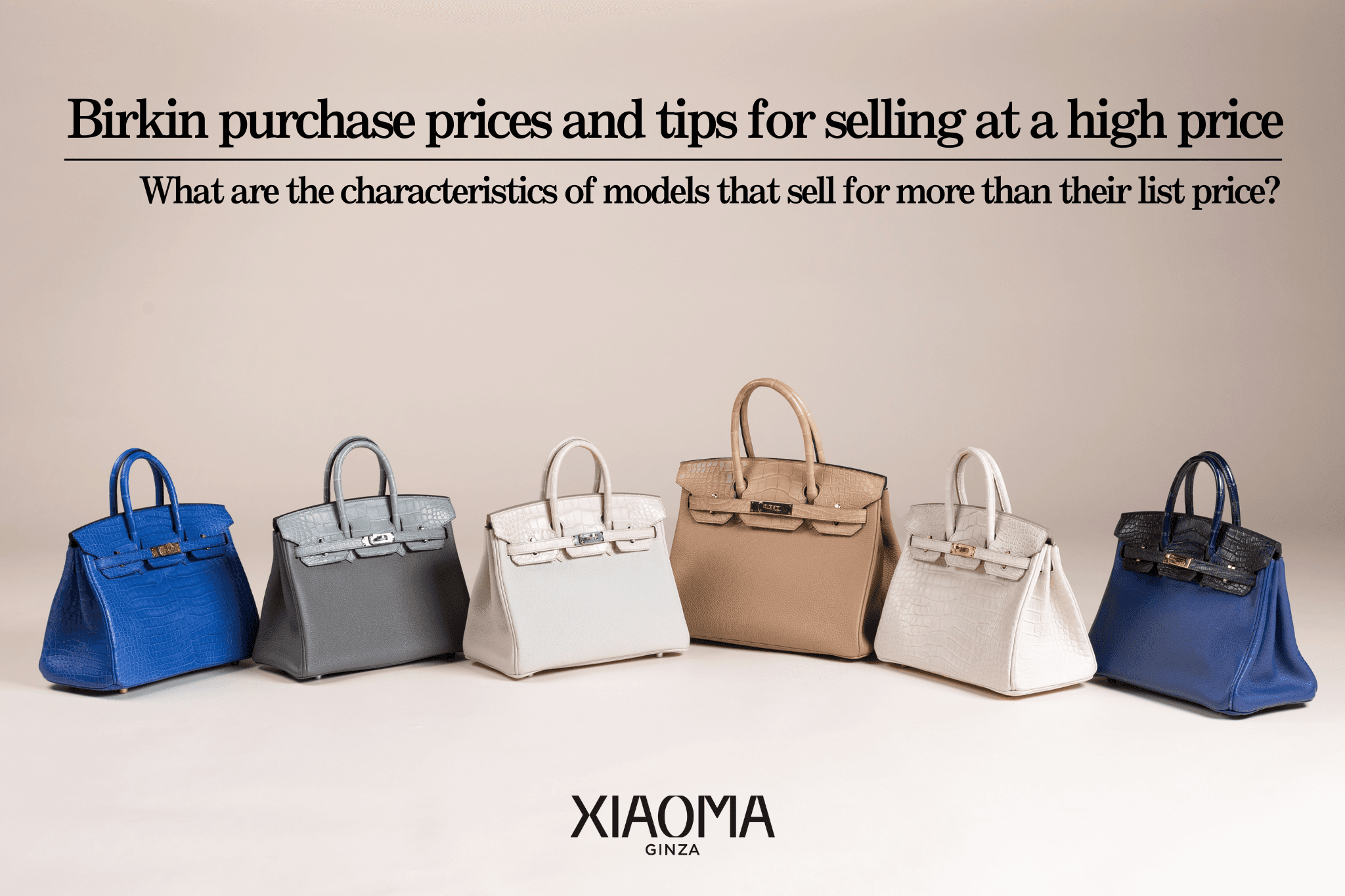 Complete Guide to Birkin Resale Prices & Tips to Maximize Your Return