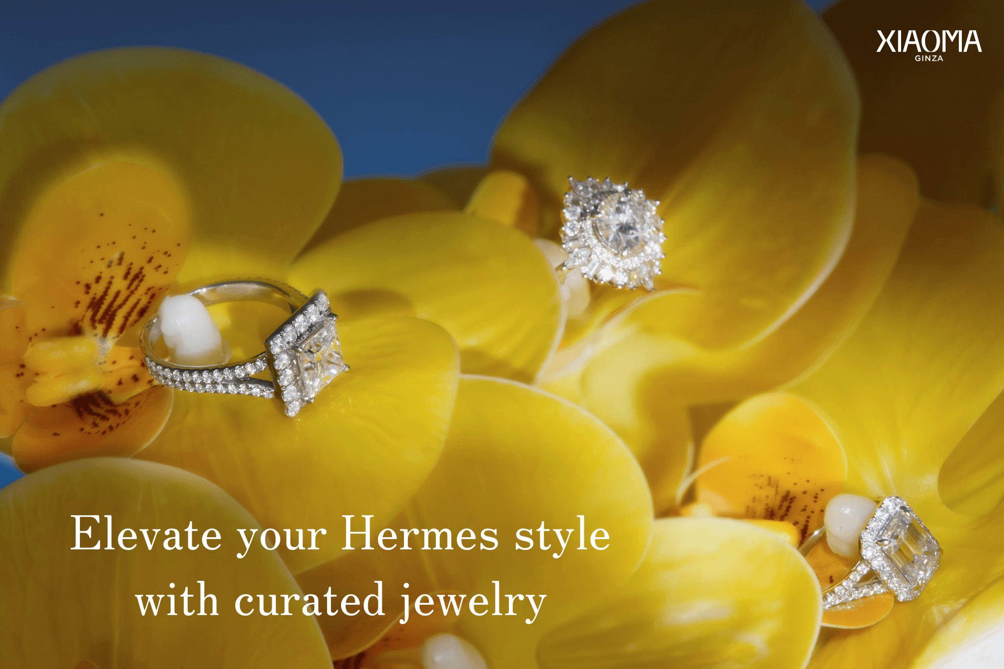 Hermès-Inspired Jewelry Now at XIAOMA Ginza Flagship｜Discover OHARA PEARL and Brillar