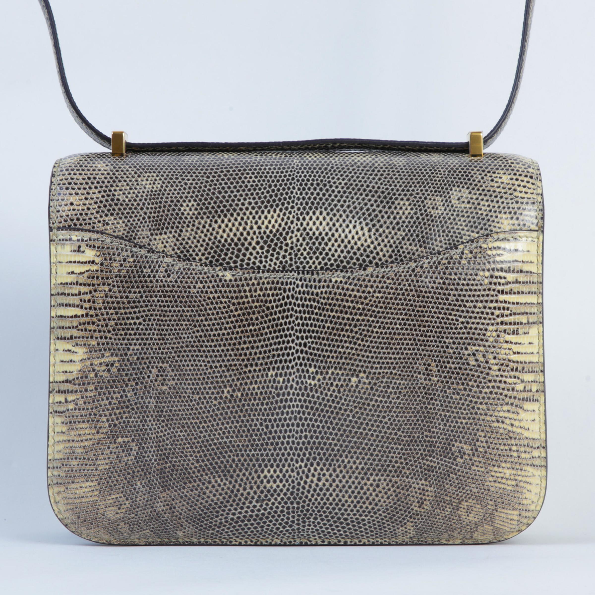 Constance Mini Ombre (1B)