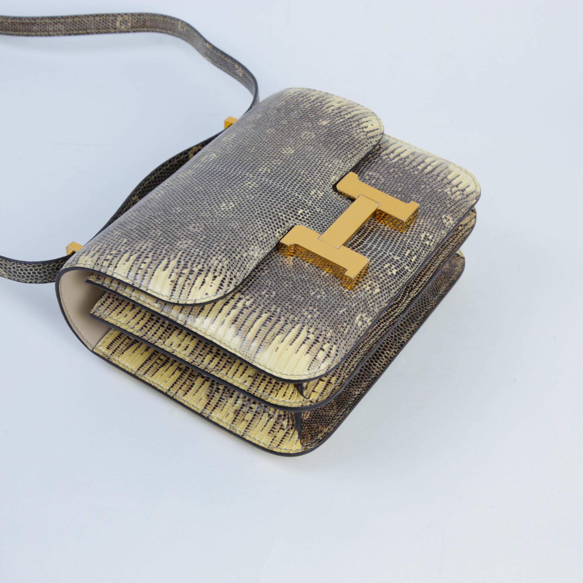 Unused ( Rank NS ) HERMÈS Constance Mini Ombre (1B) Lizard Gold hardware D (2019) - 4