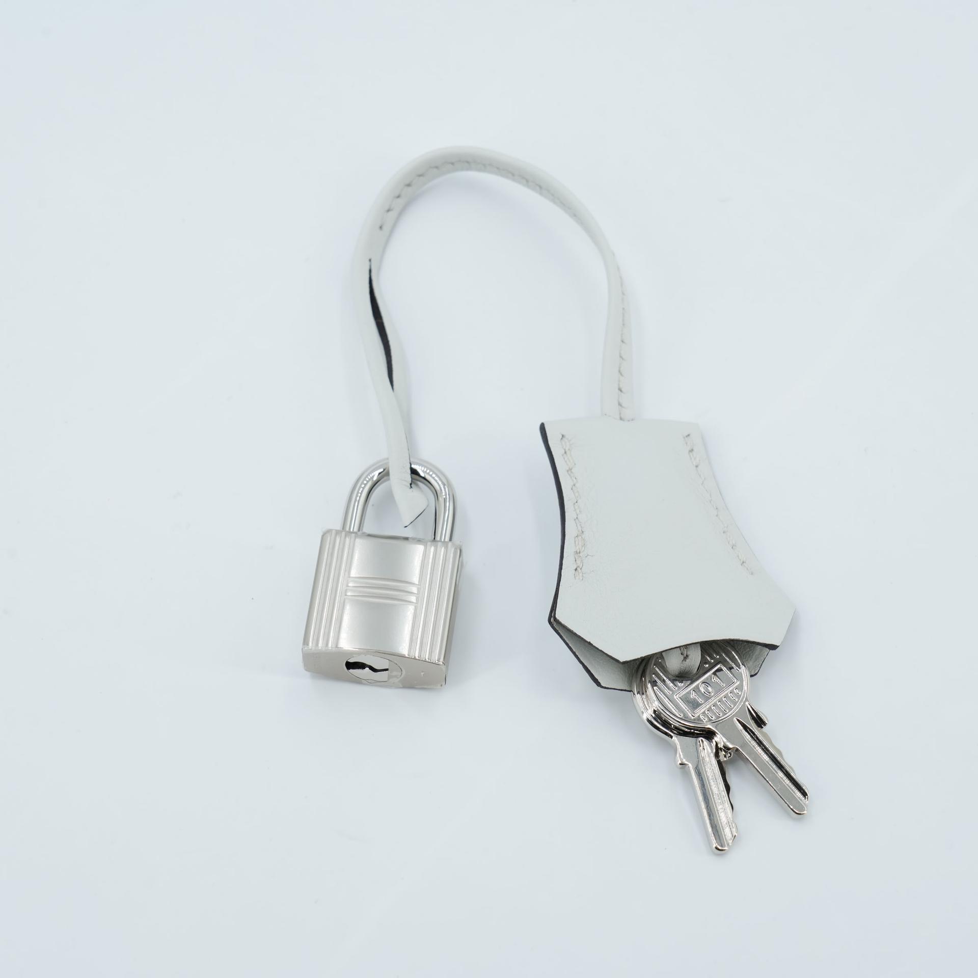 Brand New ( Rank N ) HERMÈS Limited Edition Birkin Cargo 25 Gris Platine (N4) Canvas Swift Palladium hardware K (2025) - 23