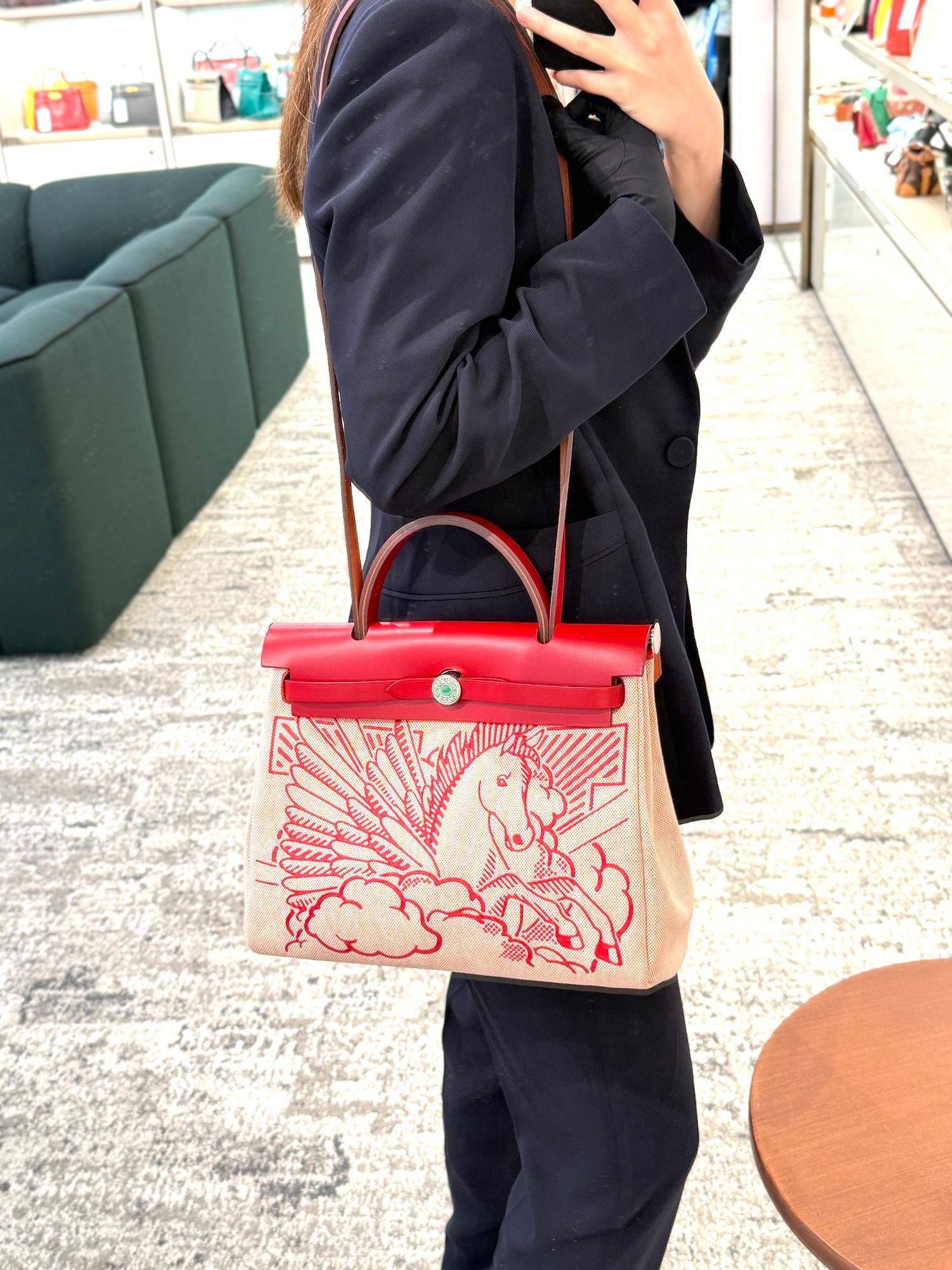Excellent ( Rank SA ) HERMÈS Limited Edition Herbag Zip 31 PM Pegase Pop Rouge Piment (5X) Vache Hunter Canvas Palladium hardware Z (2021) - 4