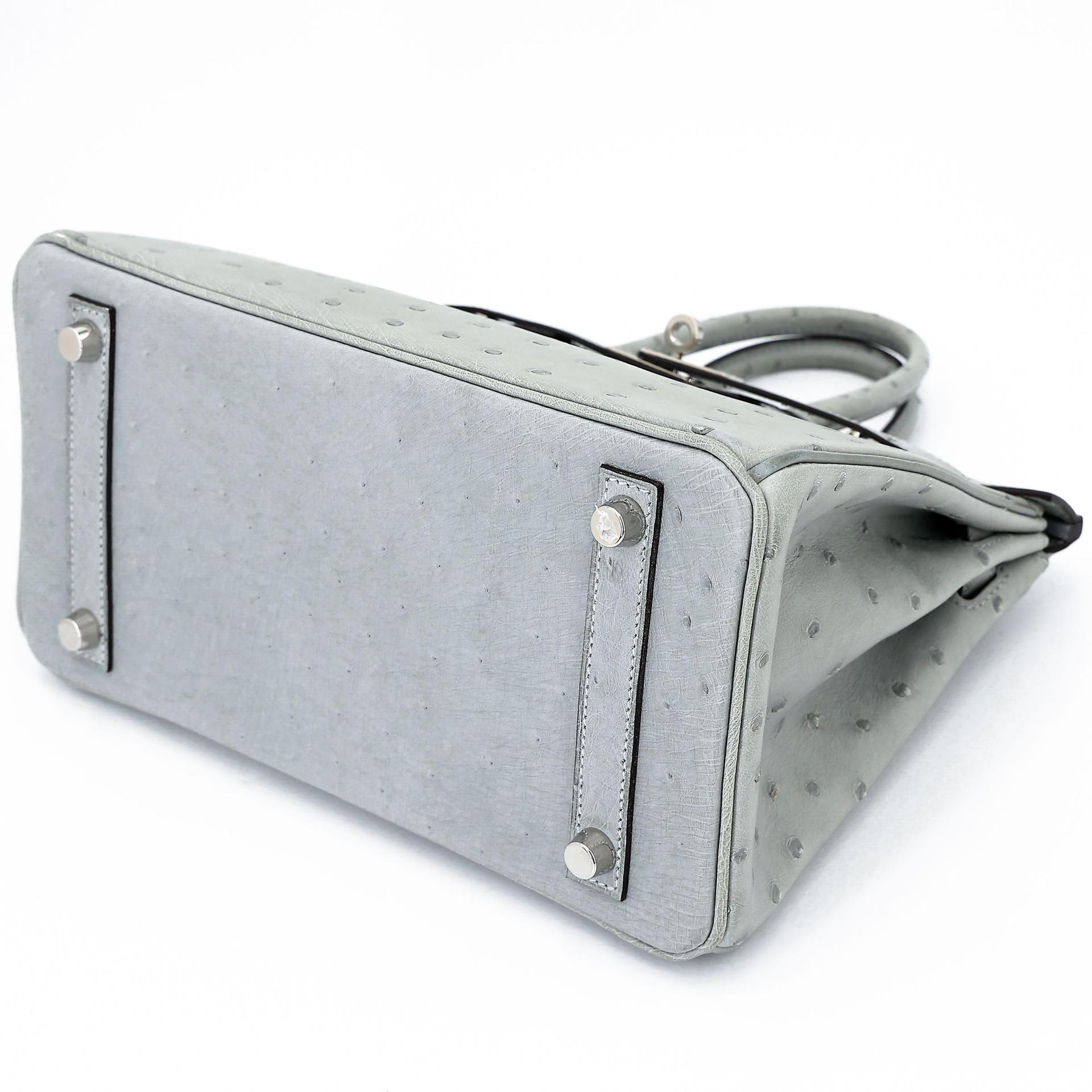 Excellent ( Rank SA ) HERMÈS Birkin 25 Bleu Glacier (8U) Ostrich Palladium hardware B (2023) - 6
