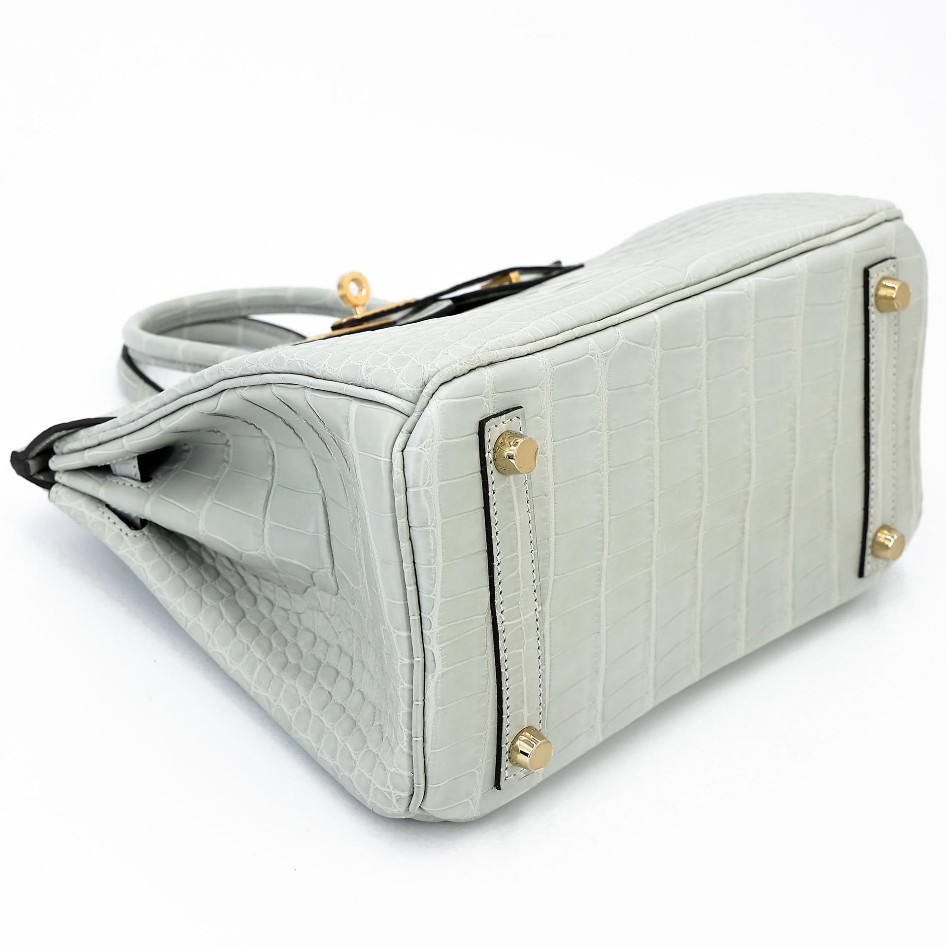 Brand New ( Rank N ) HERMÈS Birkin 25 Gris Neve (0W) Matte Alligator Gold hardware K (2025) - 7