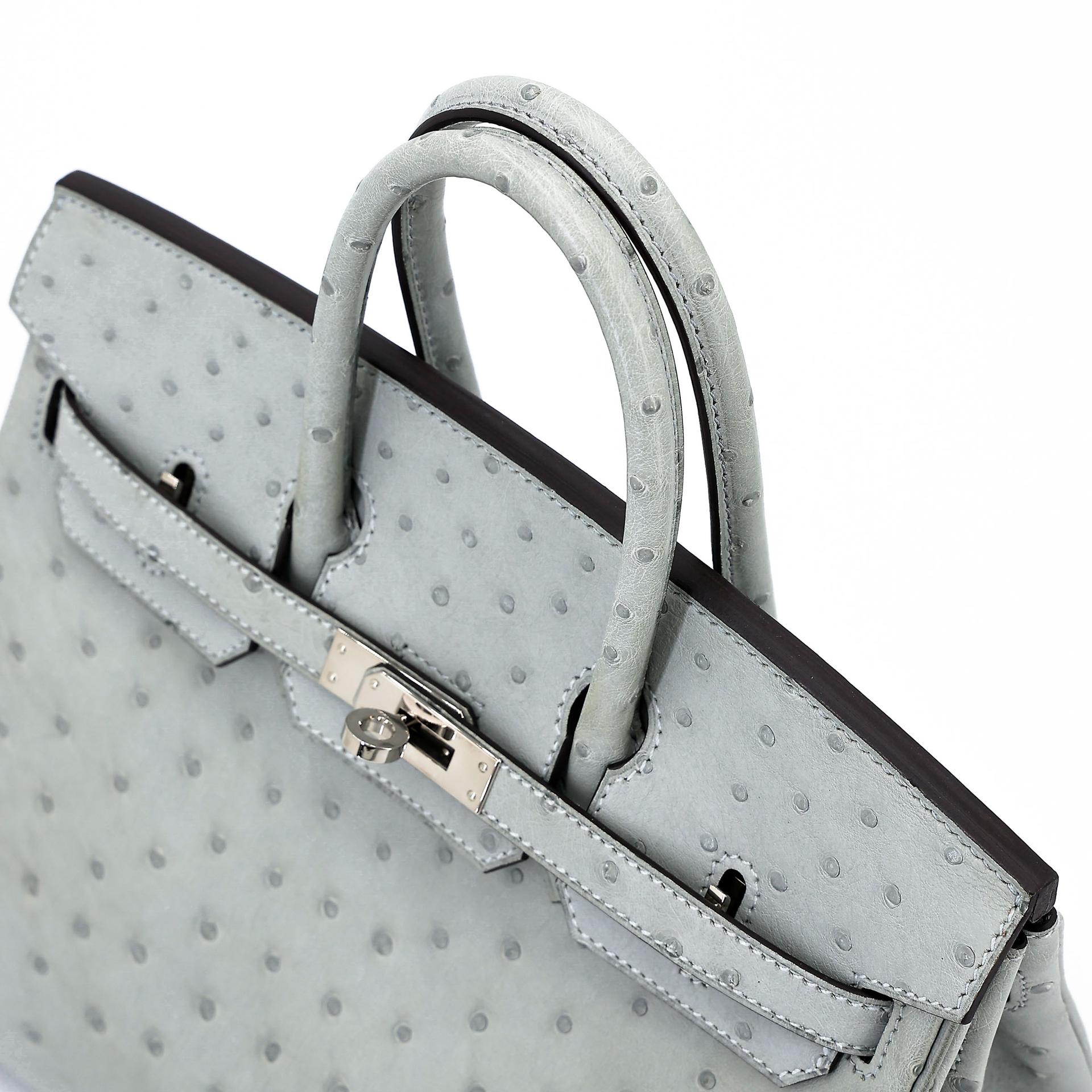 Excellent ( Rank SA ) HERMÈS Birkin 25 Bleu Glacier (8U) Ostrich Palladium hardware B (2023) - 5