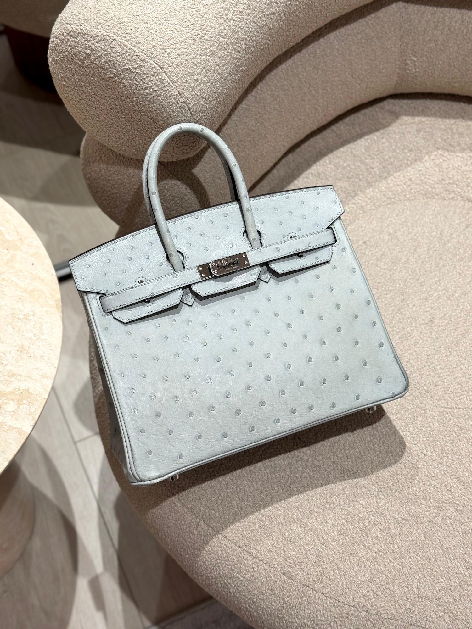 Excellent ( Rank SA ) HERMÈS Birkin 25 Bleu Glacier (8U) Ostrich Palladium hardware B (2023) - 4
