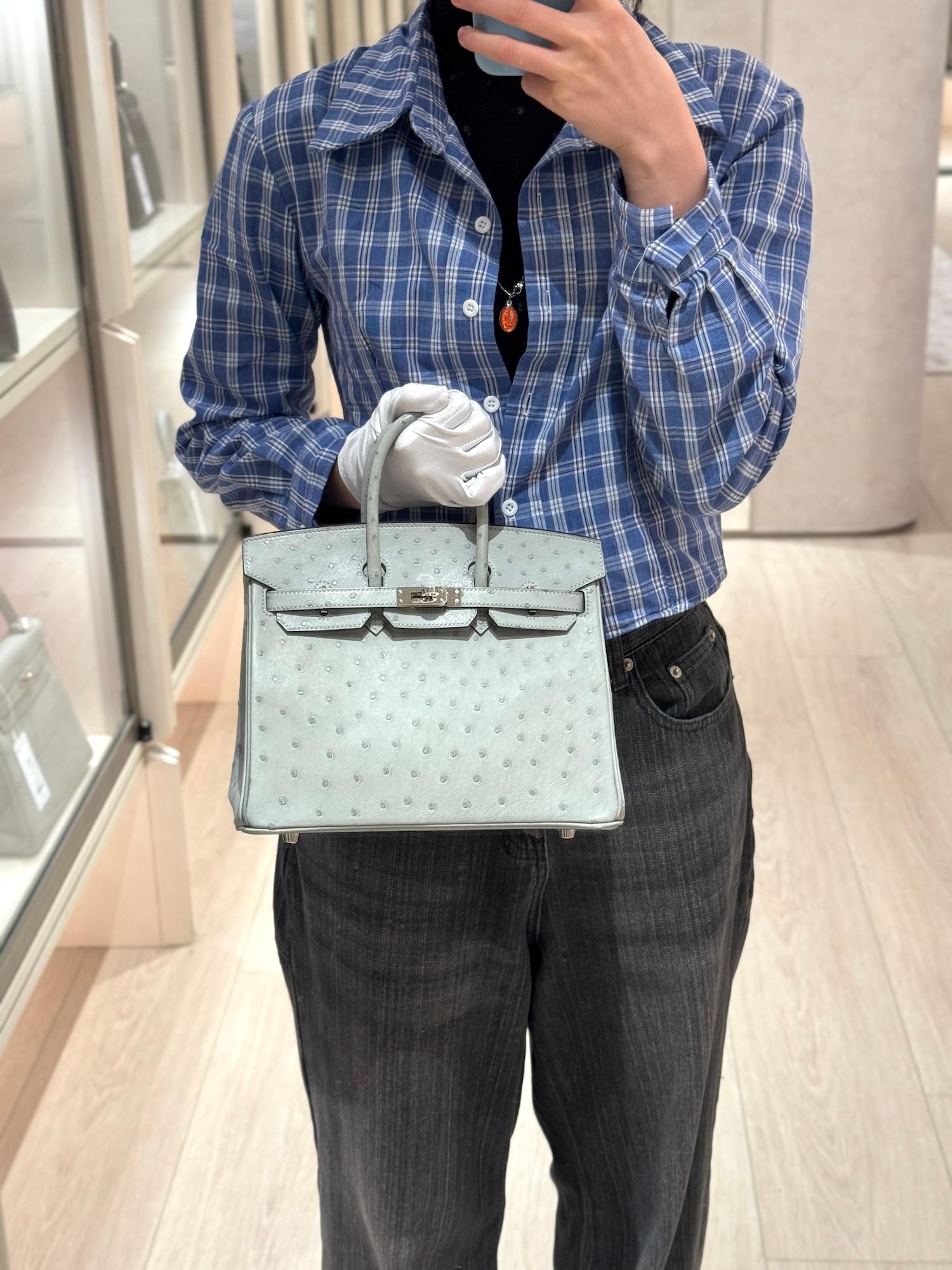 Excellent ( Rank SA ) HERMÈS Birkin 25 Bleu Glacier (8U) Ostrich Palladium hardware B (2023) - 3